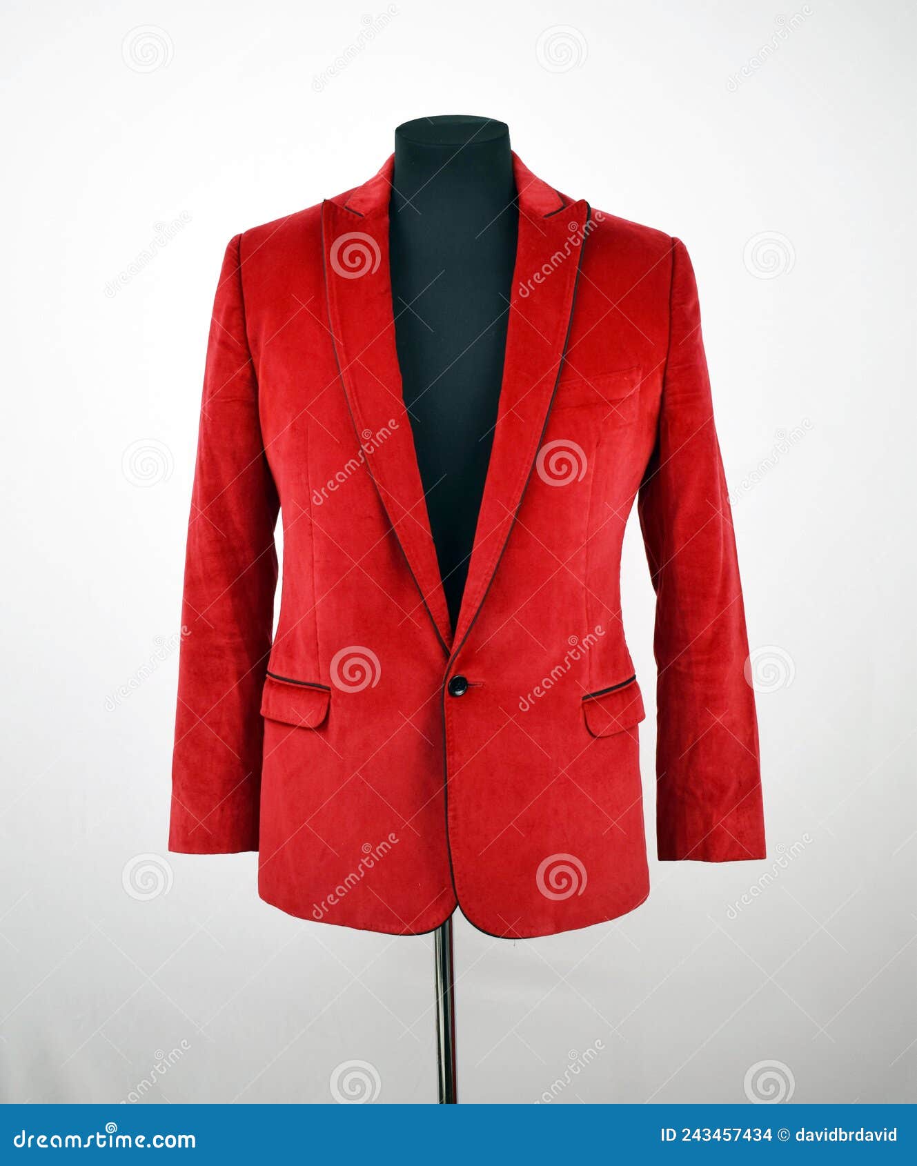 Clothing stock photo. Image of back, mens, button, suit 243457434