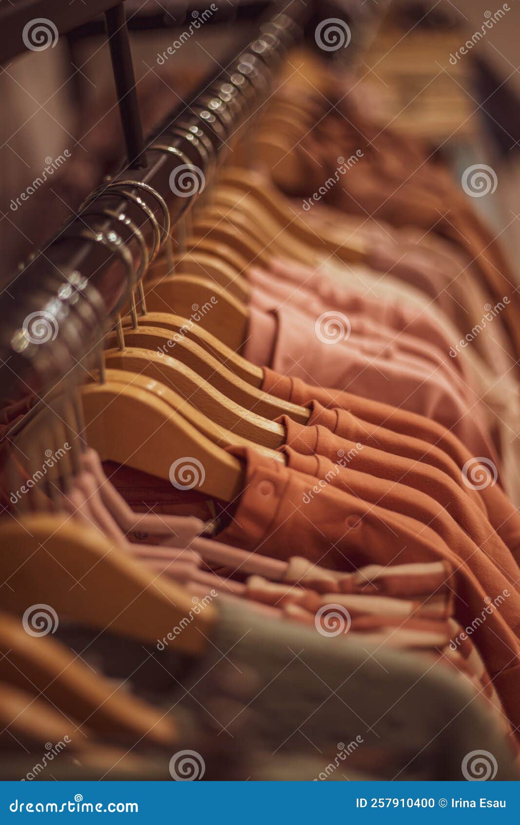 Clothing on Hanger at the Modern Shop Boutique Stock Photo Image of