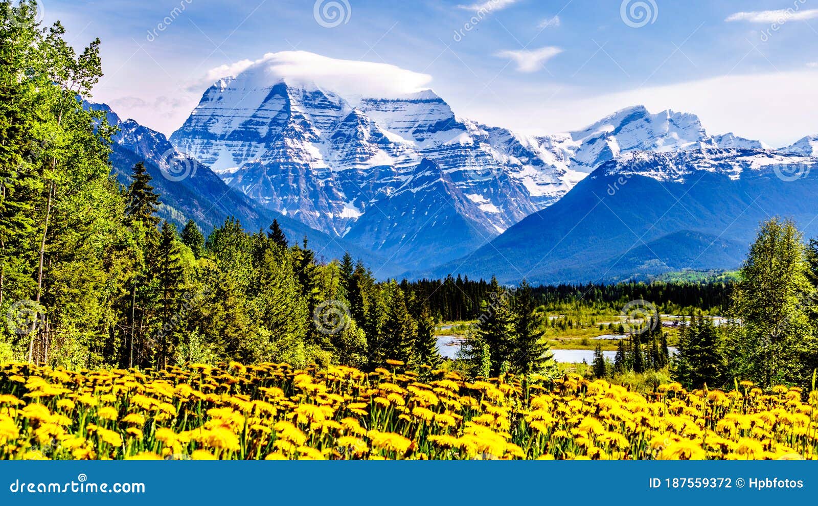 cloud blanket over mount robson, the highest mountain in the canadian rockies