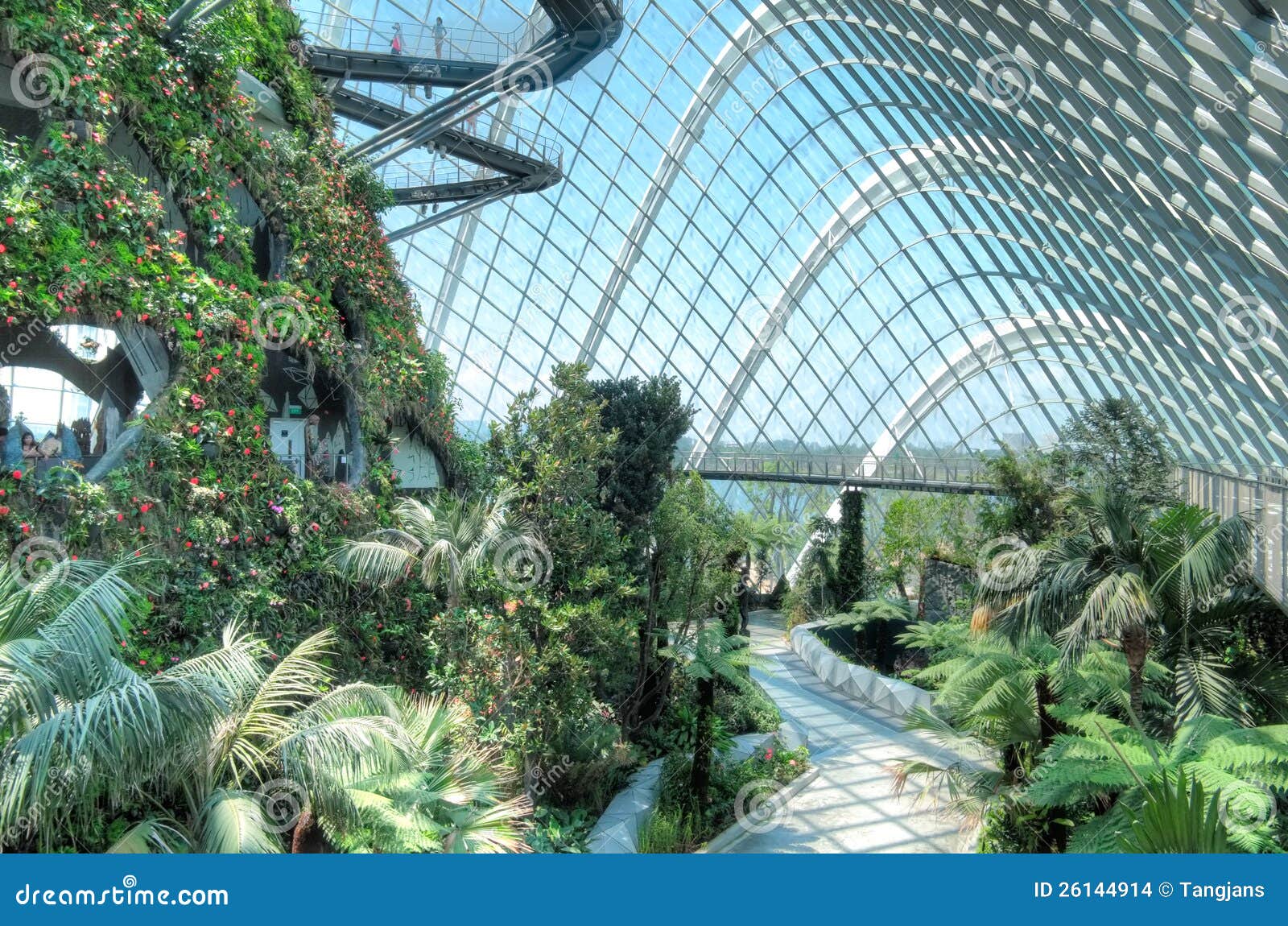 Cloud Forest Gardens By The Bay Editorial Stock Image Image Of