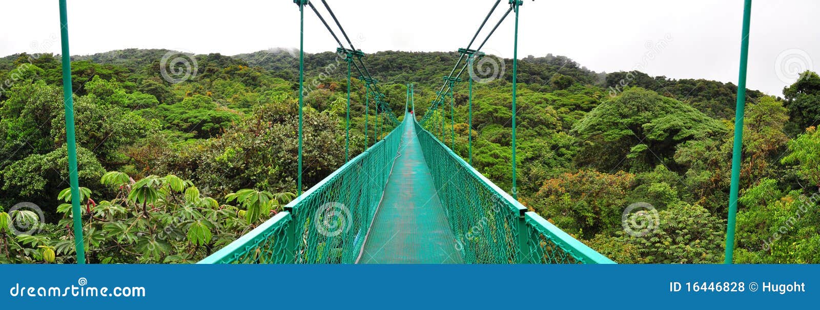 cloud forest hanging bridge, costa rica