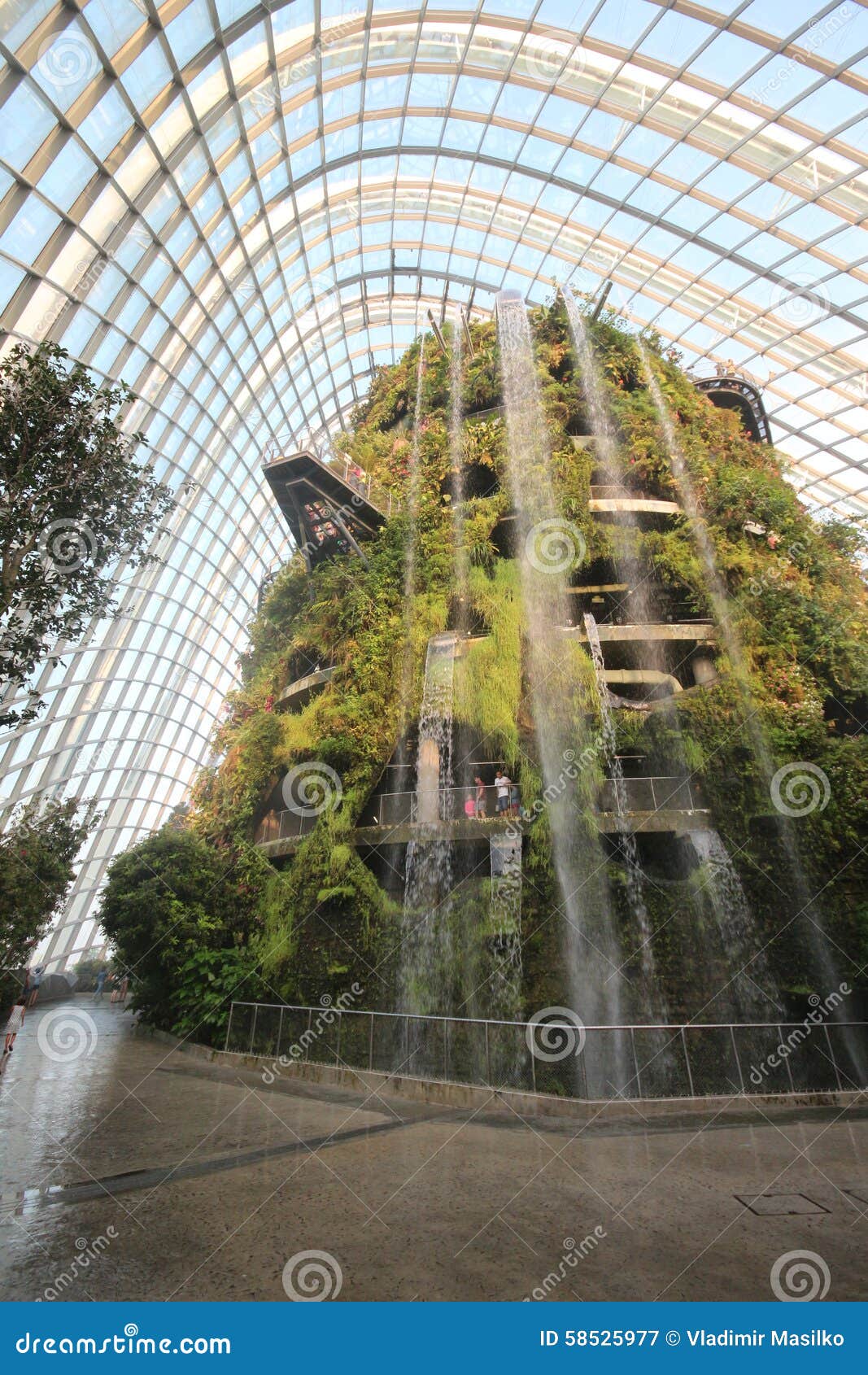 Cloud Forest Singapore stock image. Image of forest, green 58525977