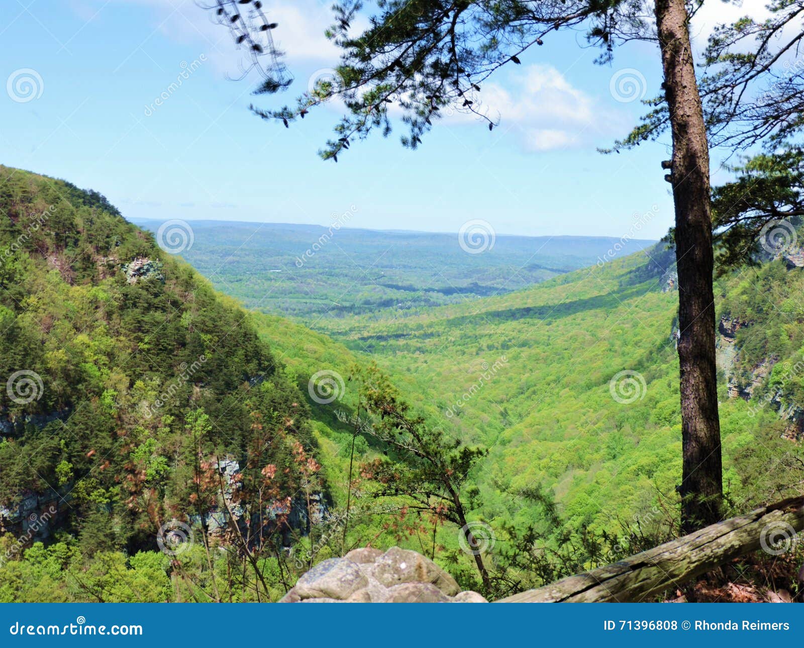 Cloudland Canyon Scenic View Stock Photo Image of cloudland, green 71396808