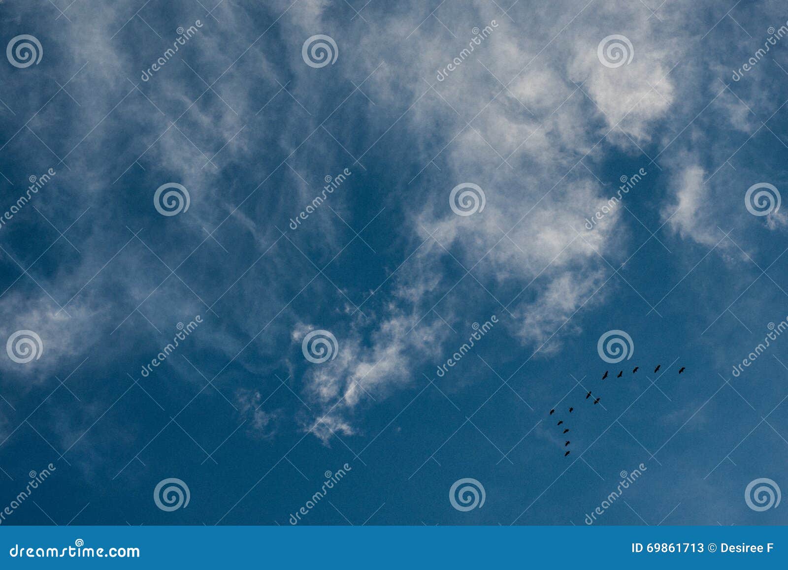 clouds and a blue sky with a bunch of flying birds
