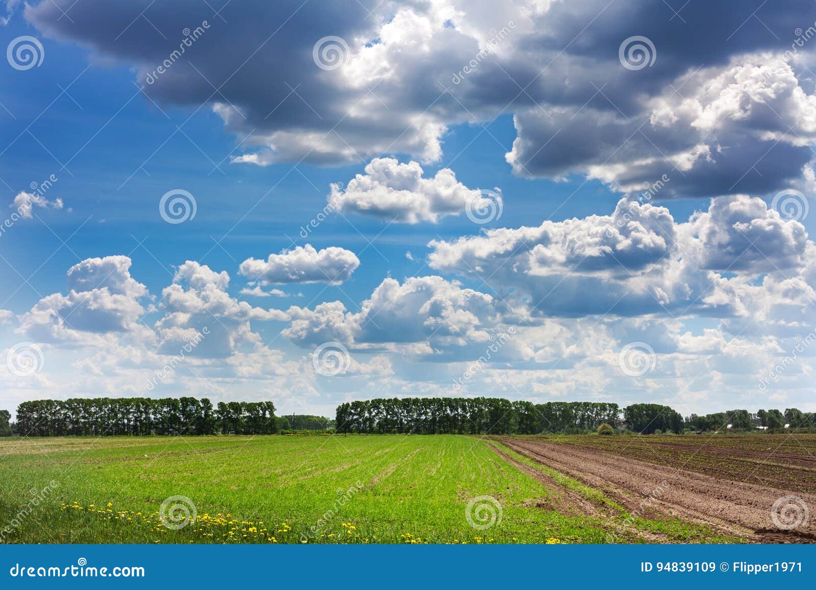 Clouds in the Blue Sky. Perspective View. Stock Image Image of nature