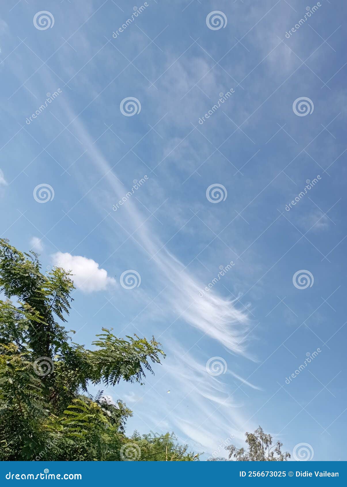 Clouds carried by the wind stock image Image of leaf 256673025 Clouds carried by the wind stock image Image of leaf 256673025