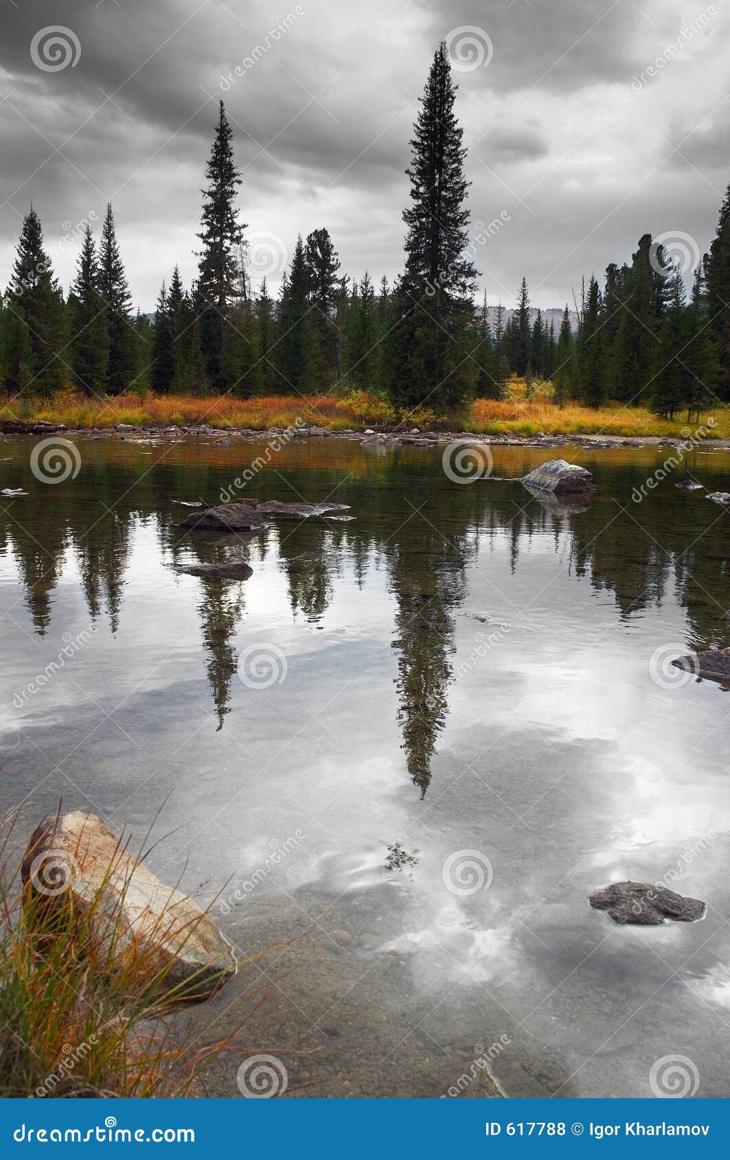 clouds and firs reflections.