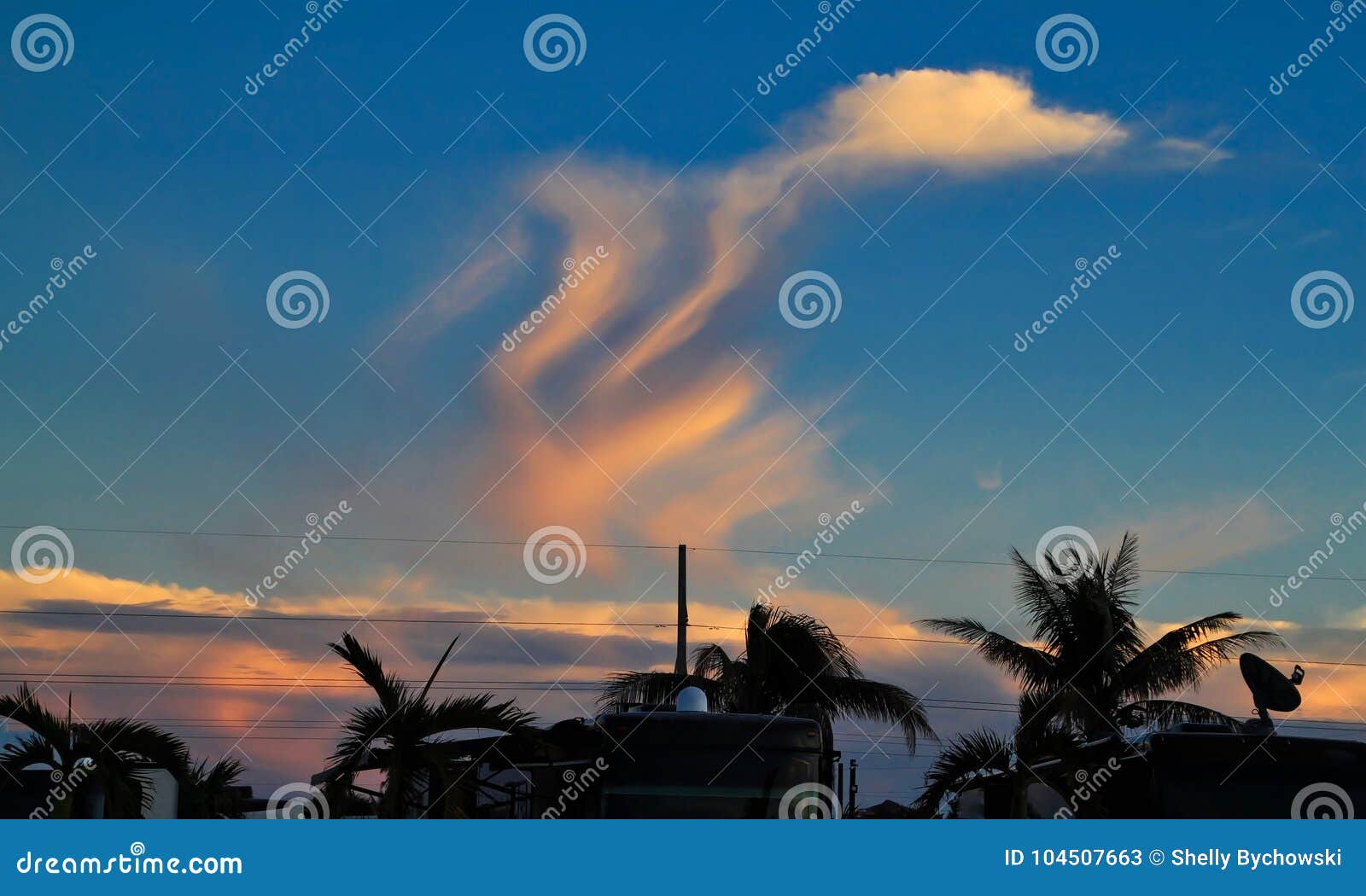clouds form funny  like a duck? in sunset sky over rv park in marathon key.