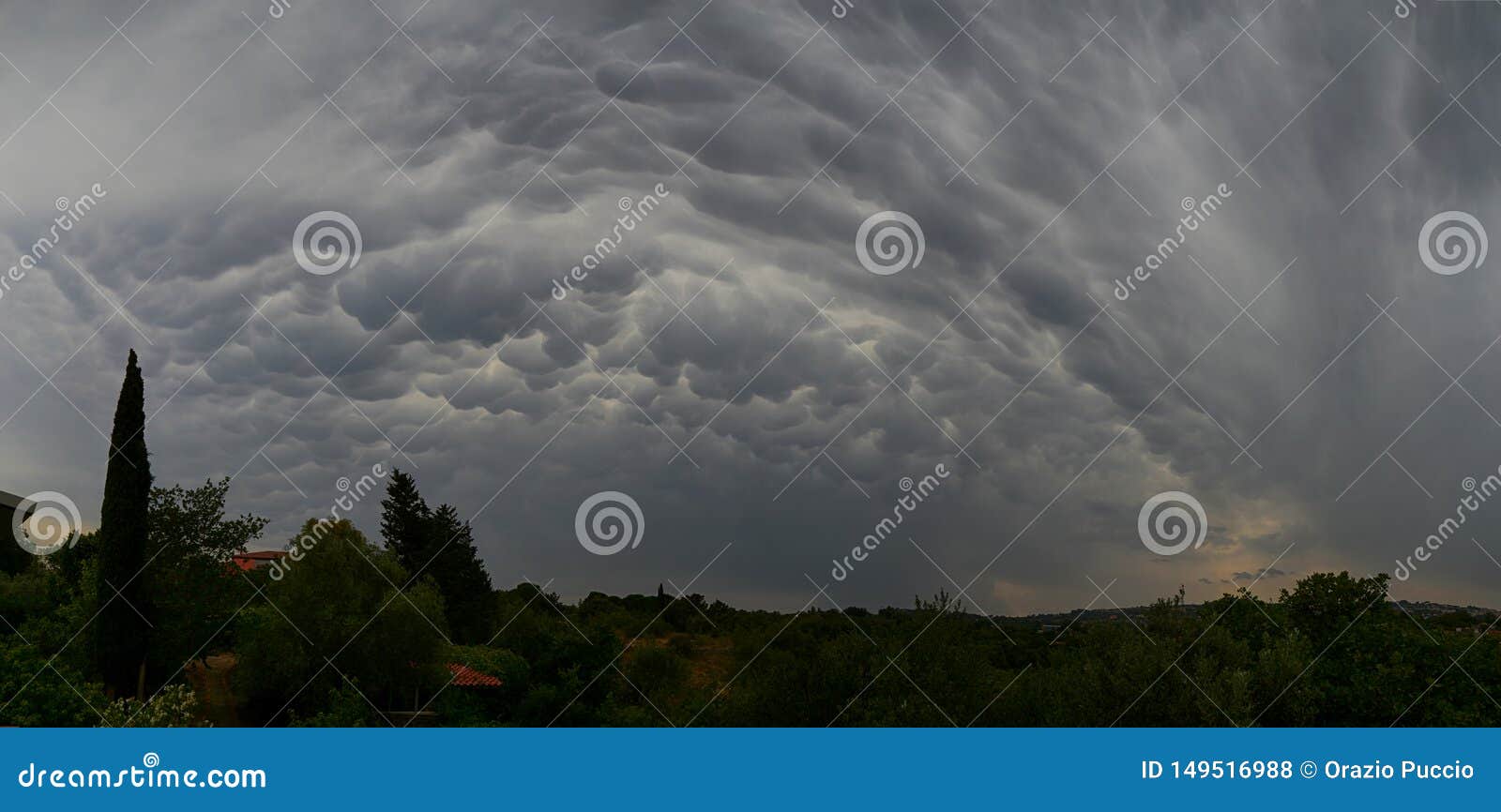 mammatus clouds cumulonimbus