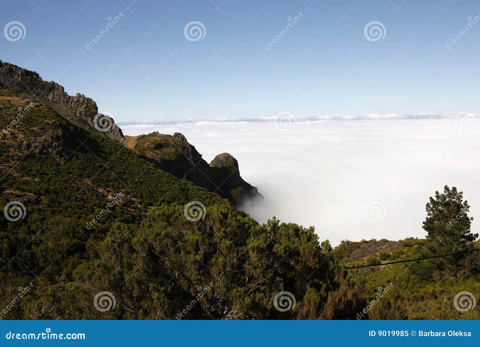 clouds on the mountains