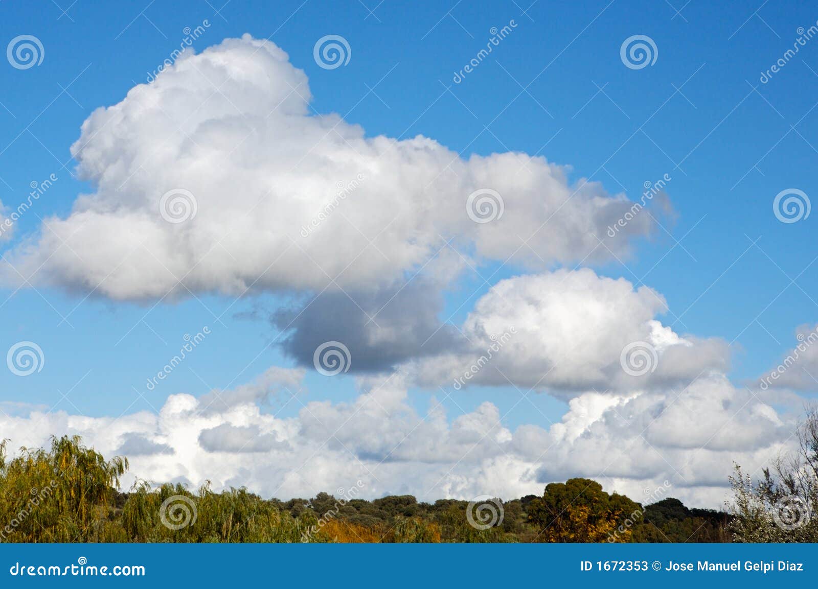 Clouds and plants stock image. Image of sailing, cloud - 1672353