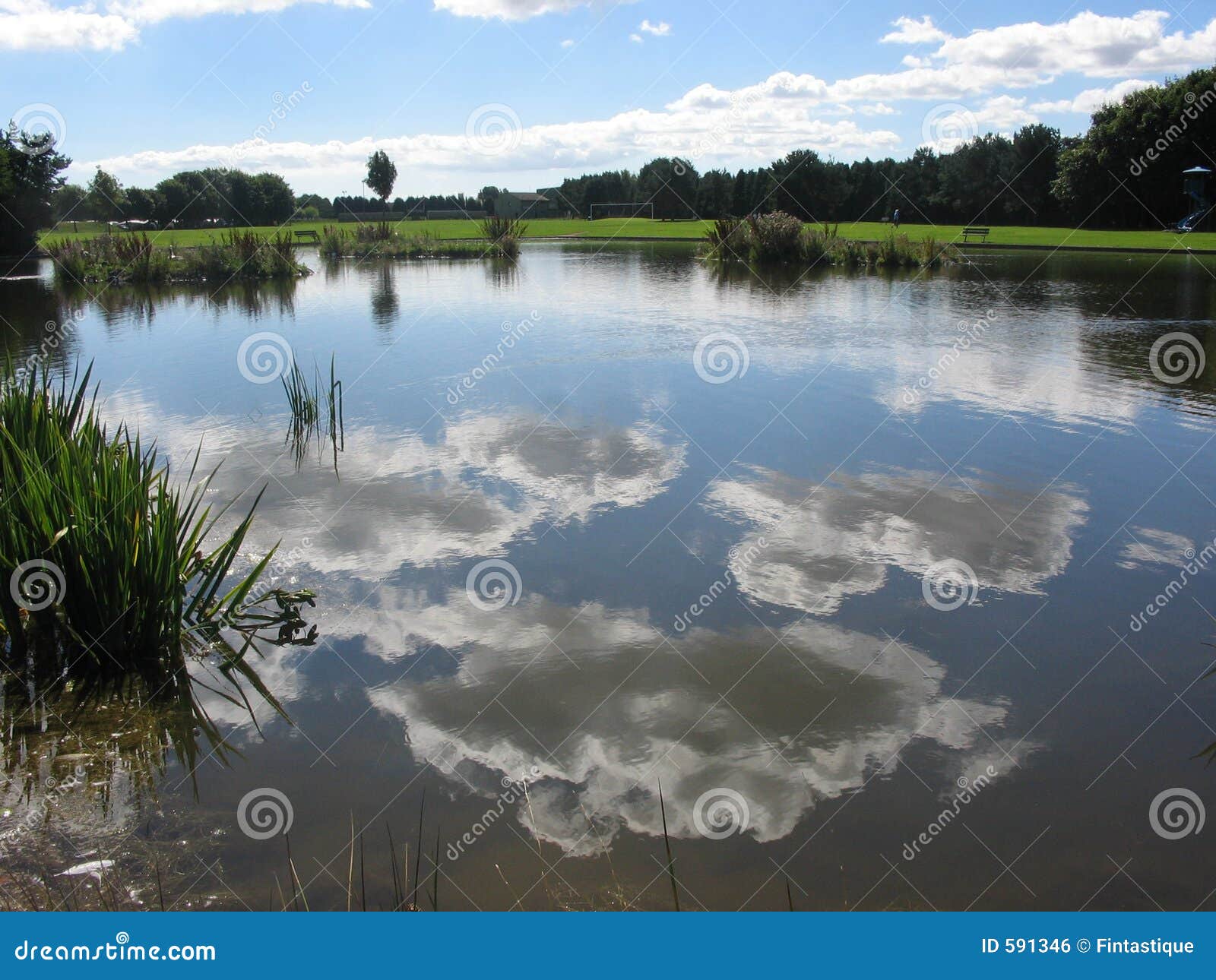 clouds in a pool
