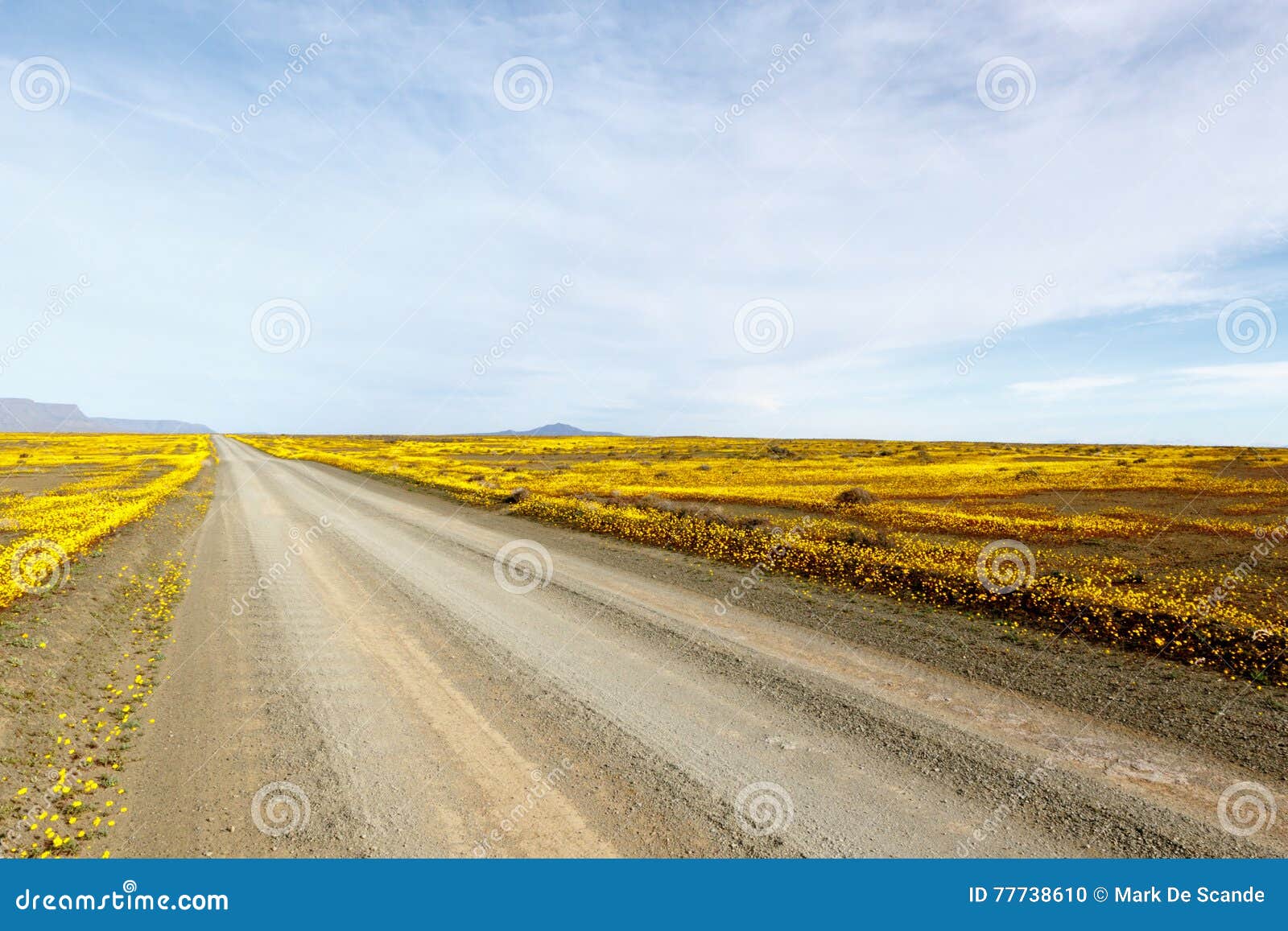 the clouds the roads of tankwa karoo