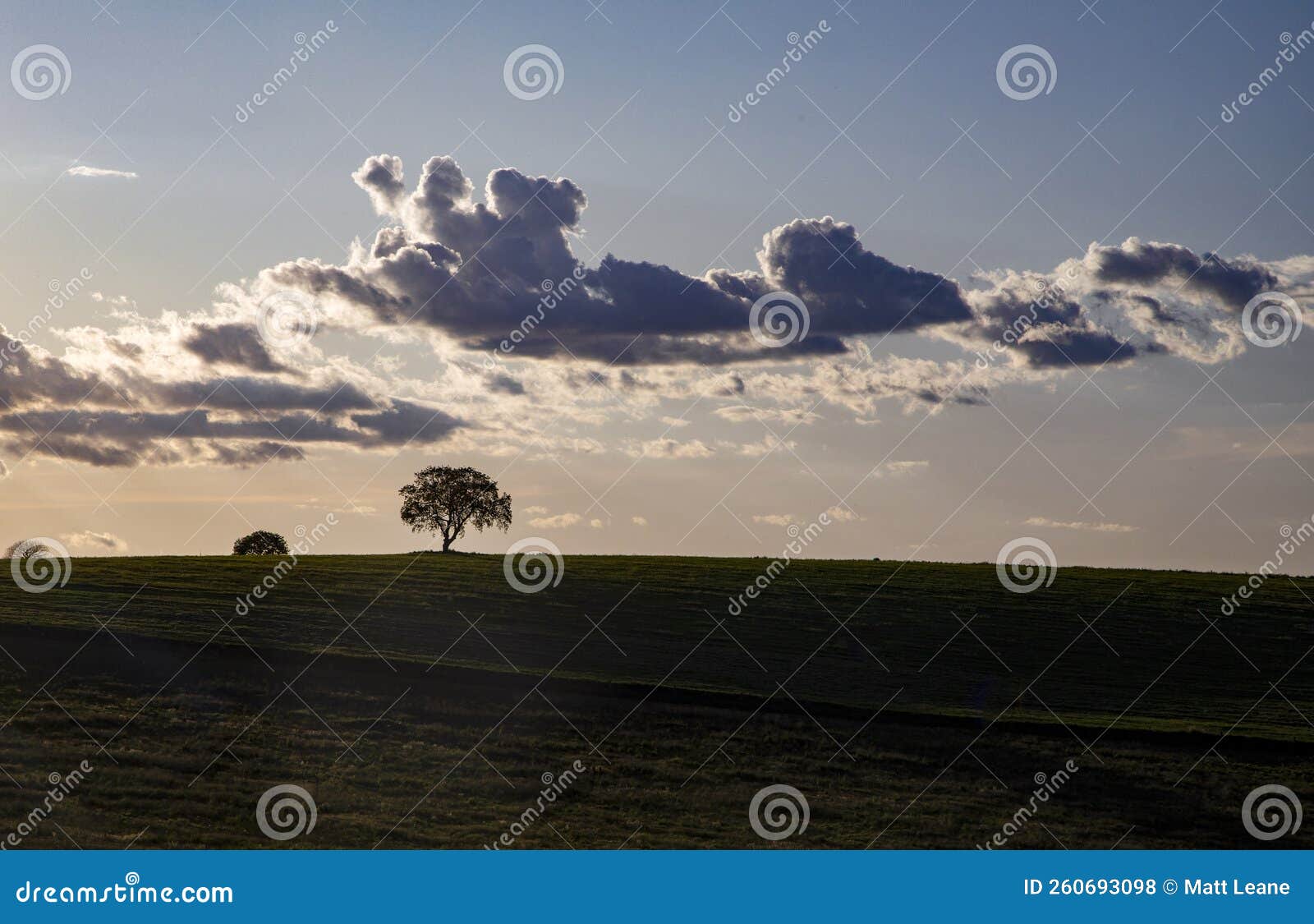 Clouds in the Sky before Sunset, Tree Aligned with Rule of Thirds Stock