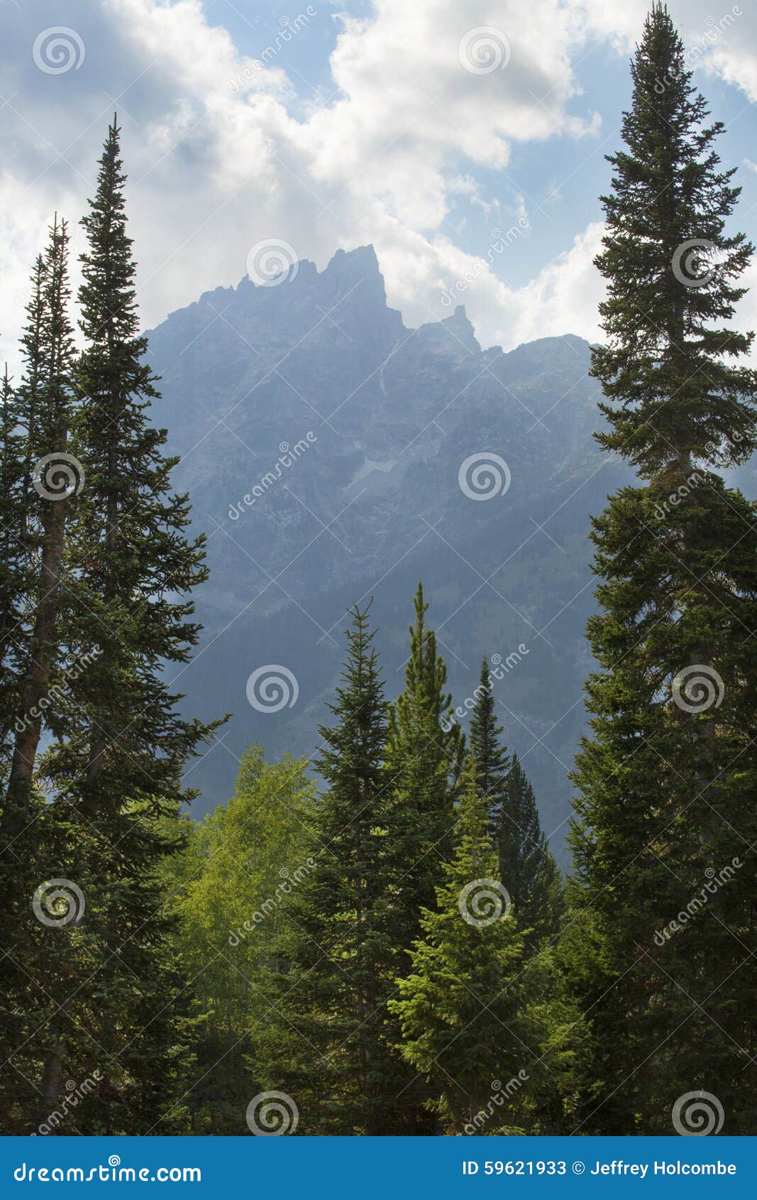 Clouds, Teton Mountains, and Pine Forest, Jackson Hole, Wyoming. Stock ...
