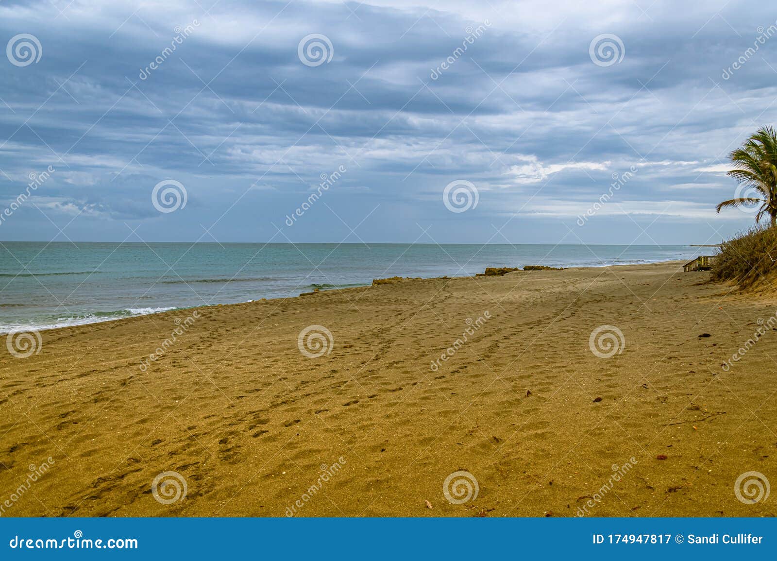 Cloudscape Over A Tropical Florida Beach Stock Image Image Of Golden