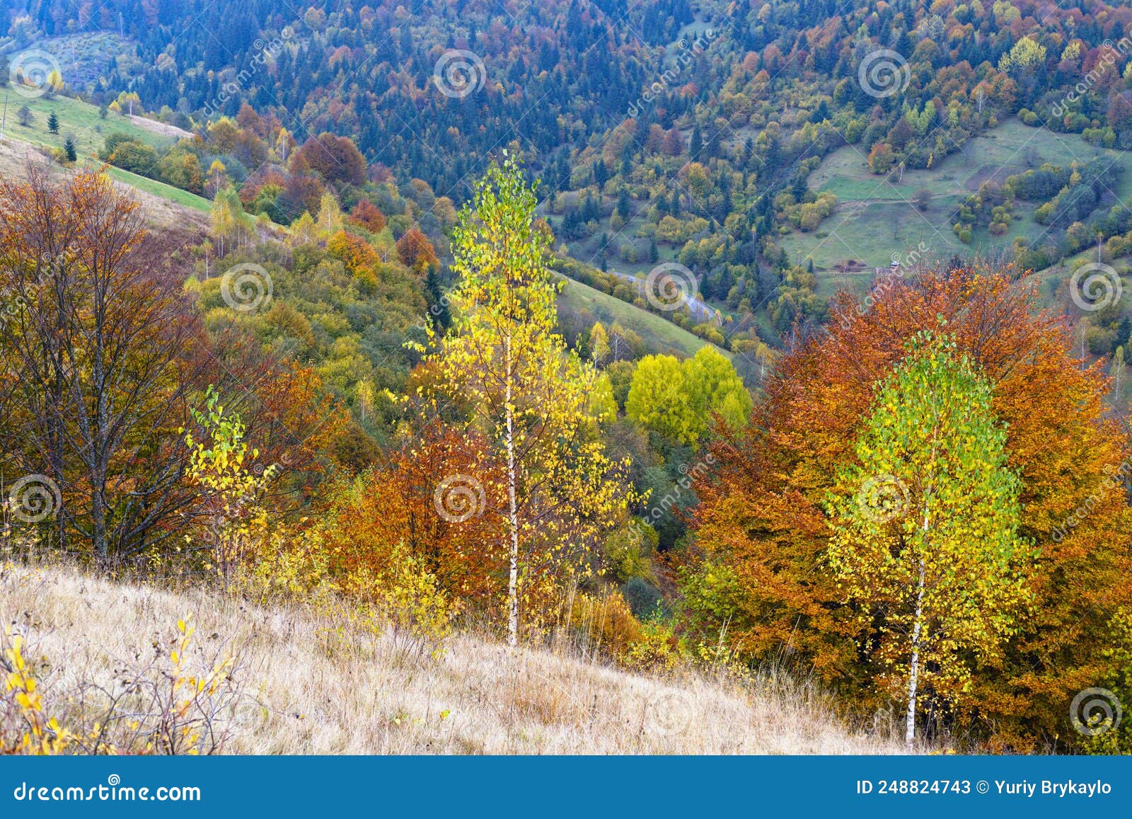 cloudy and foggy day autumn mountains scene. peaceful picturesque traveling, seasonal, nature and countryside beauty concept scene