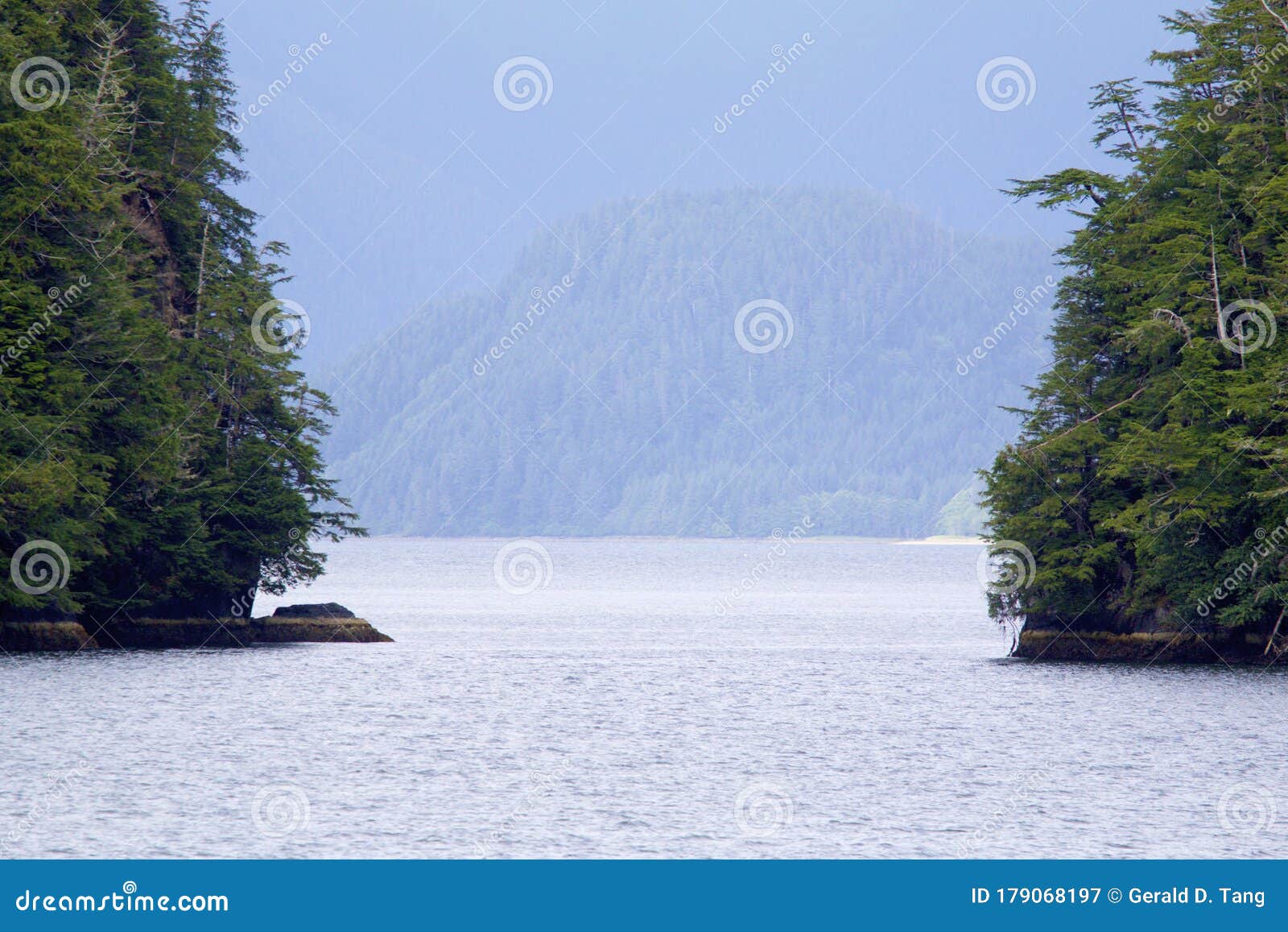 cloudy forest peril strait   845450