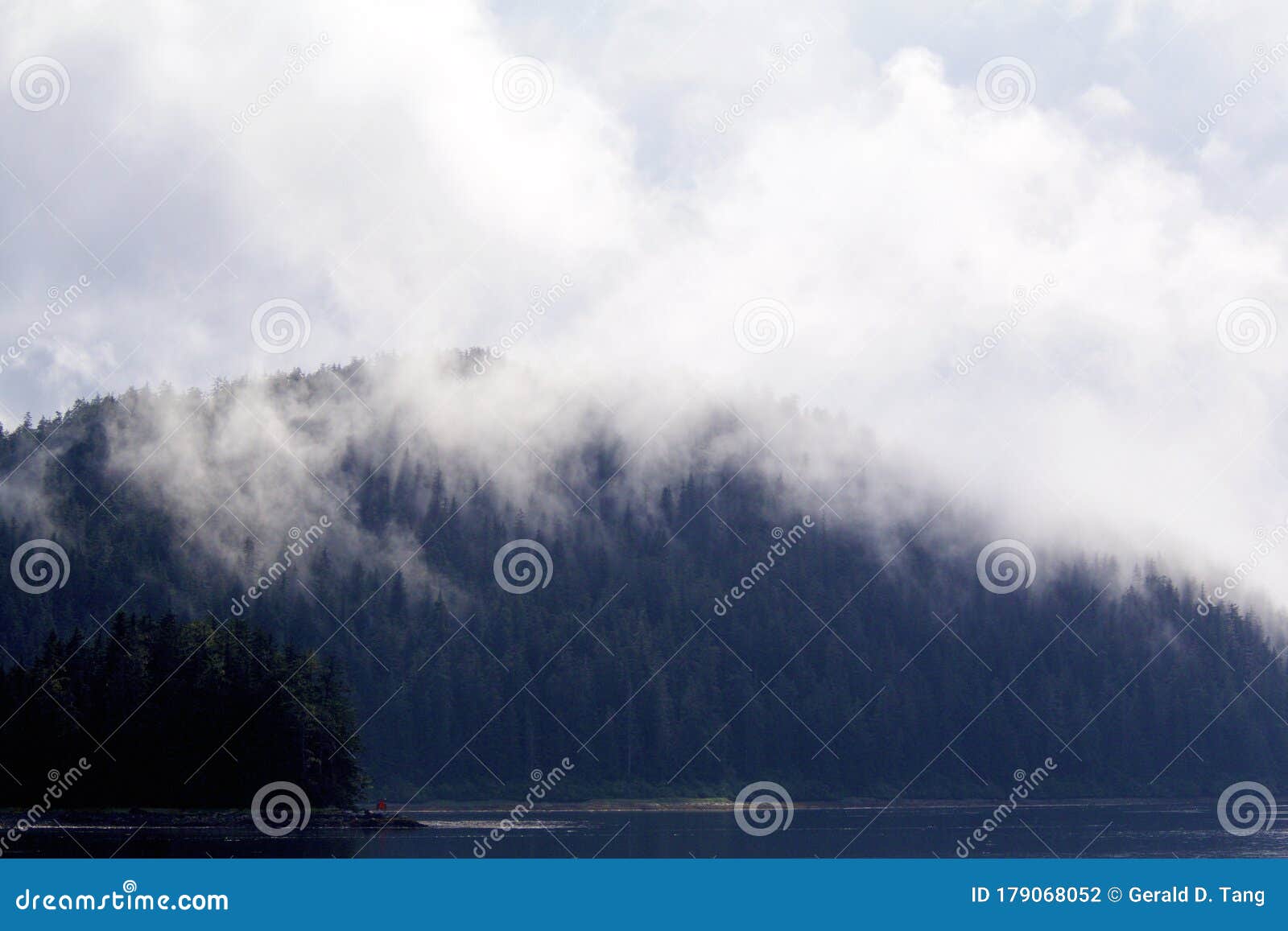 cloudy forest peril strait   842876