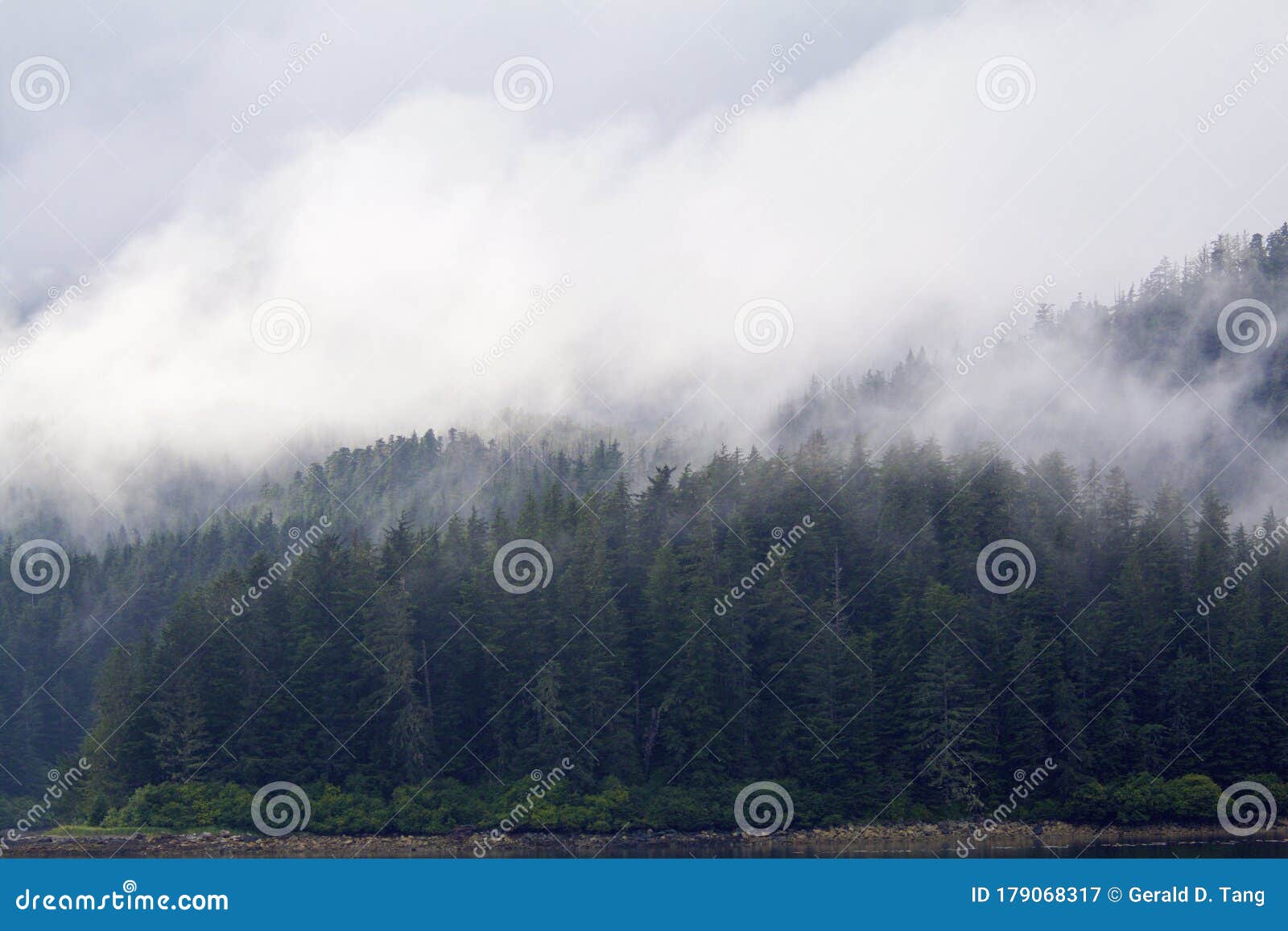 cloudy forest peril strait   846609