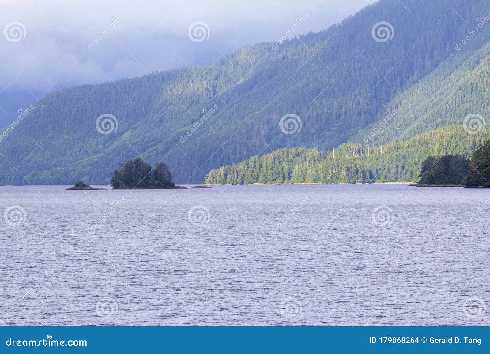 cloudy forest peril strait   845452