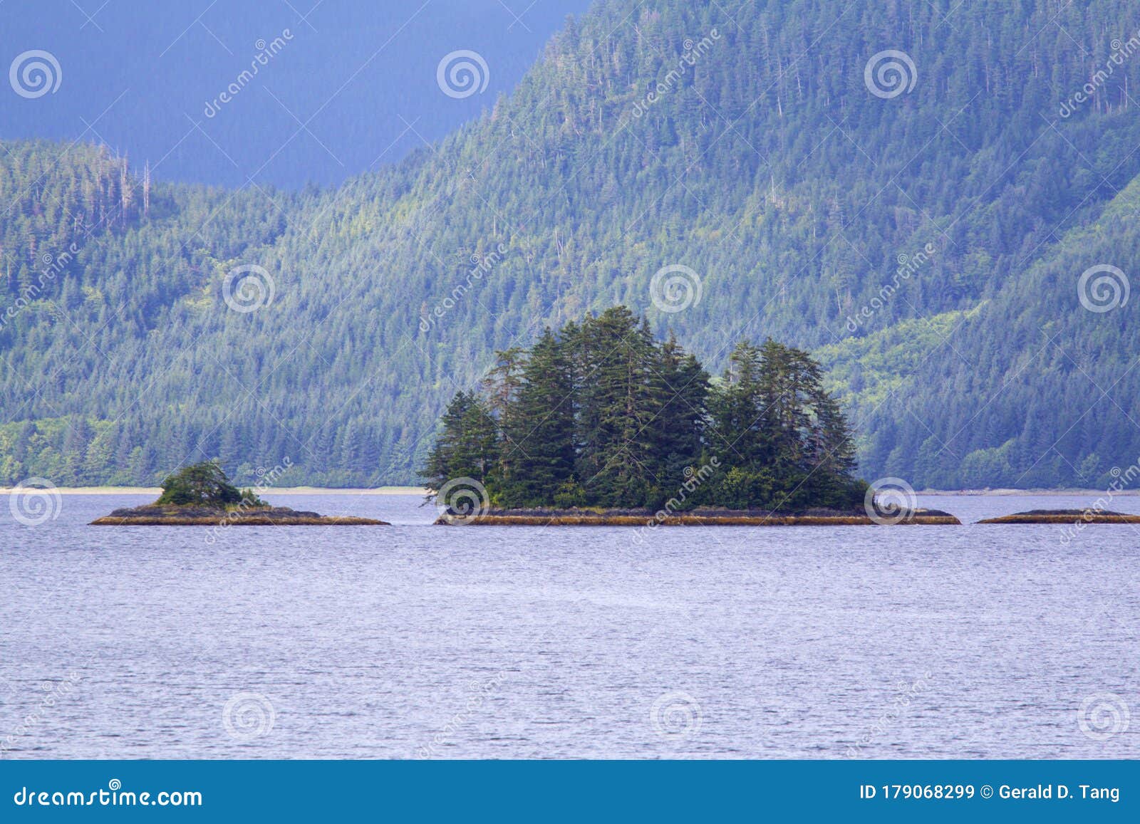 cloudy forest peril strait   845453
