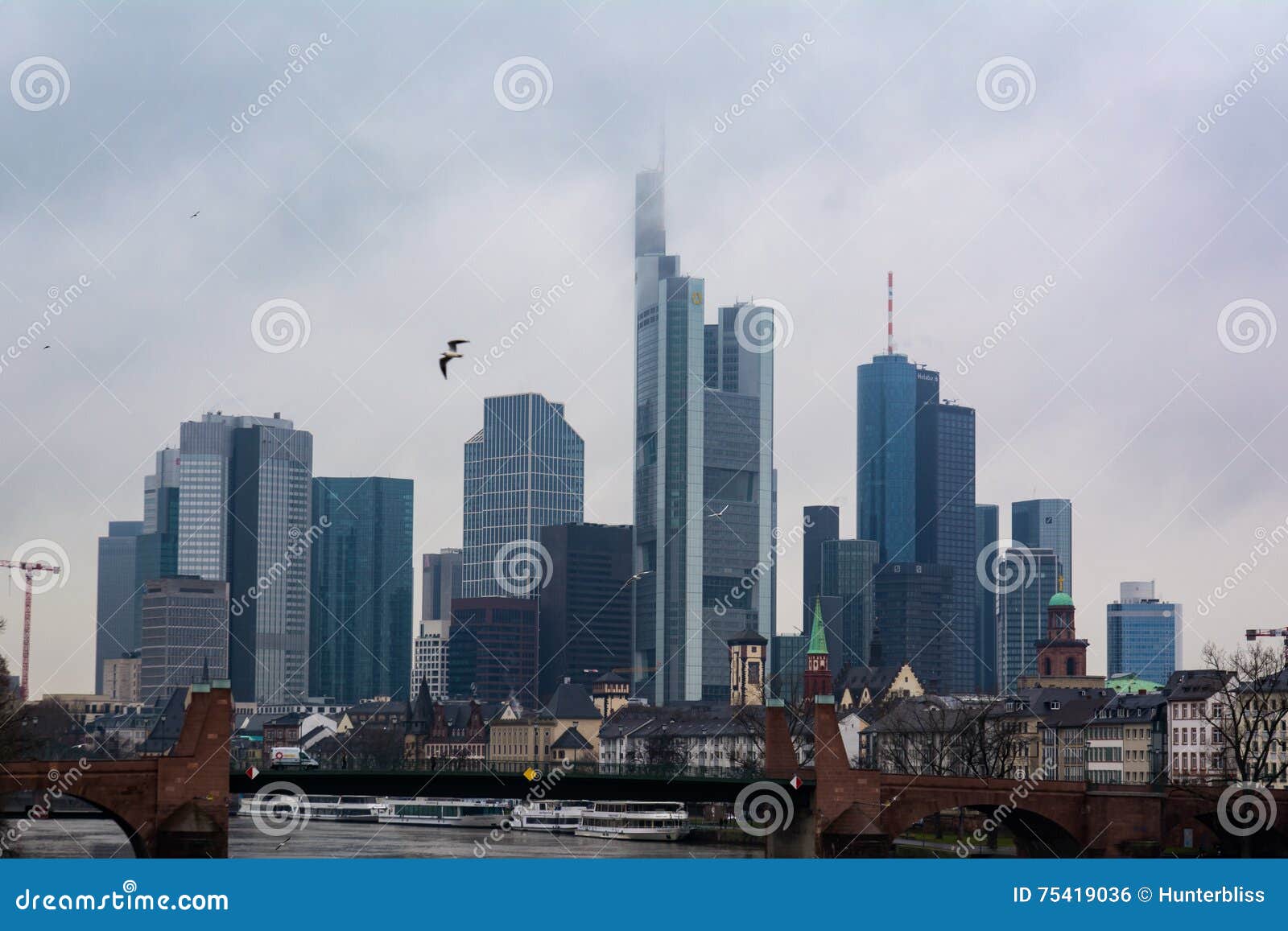 Cloudy Frankfurt Skyline Overcast Weather Seagull Bridge Main River
