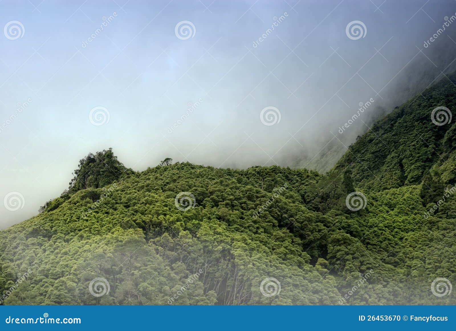 cloudy mountains of flores, acores islands