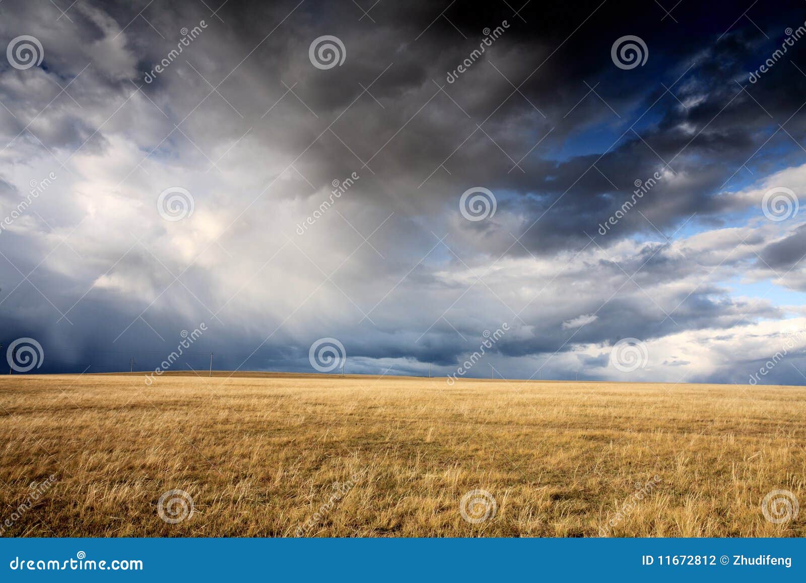 cloudy sky and meadow