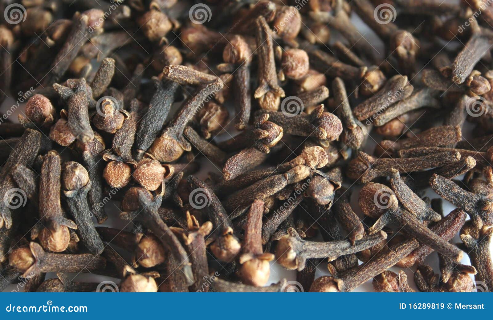 Clove stock image. Image of clove, ingredient, food, cook 16289819