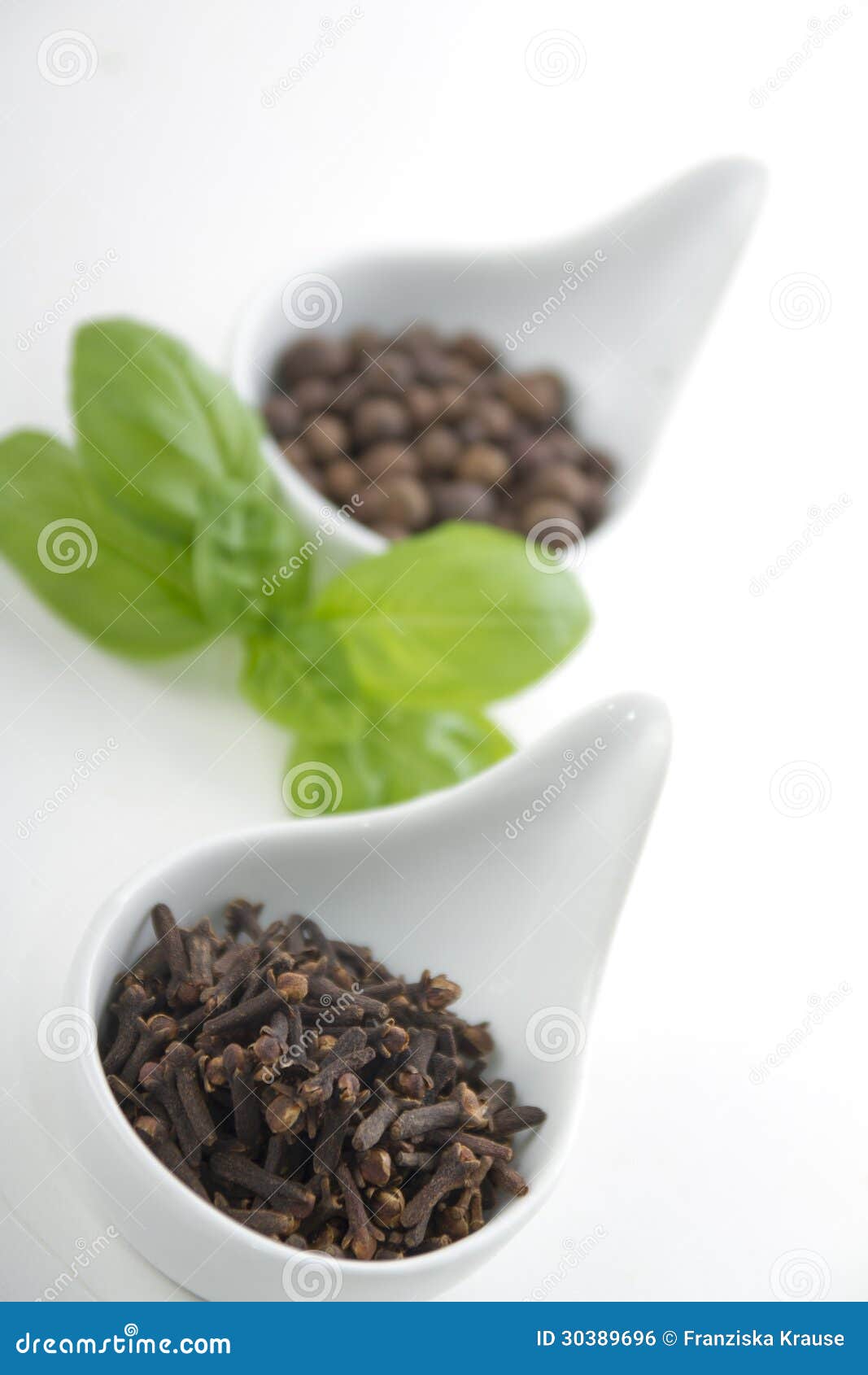 Clove and allspice stock photo. Image of detail, leaf 30389696