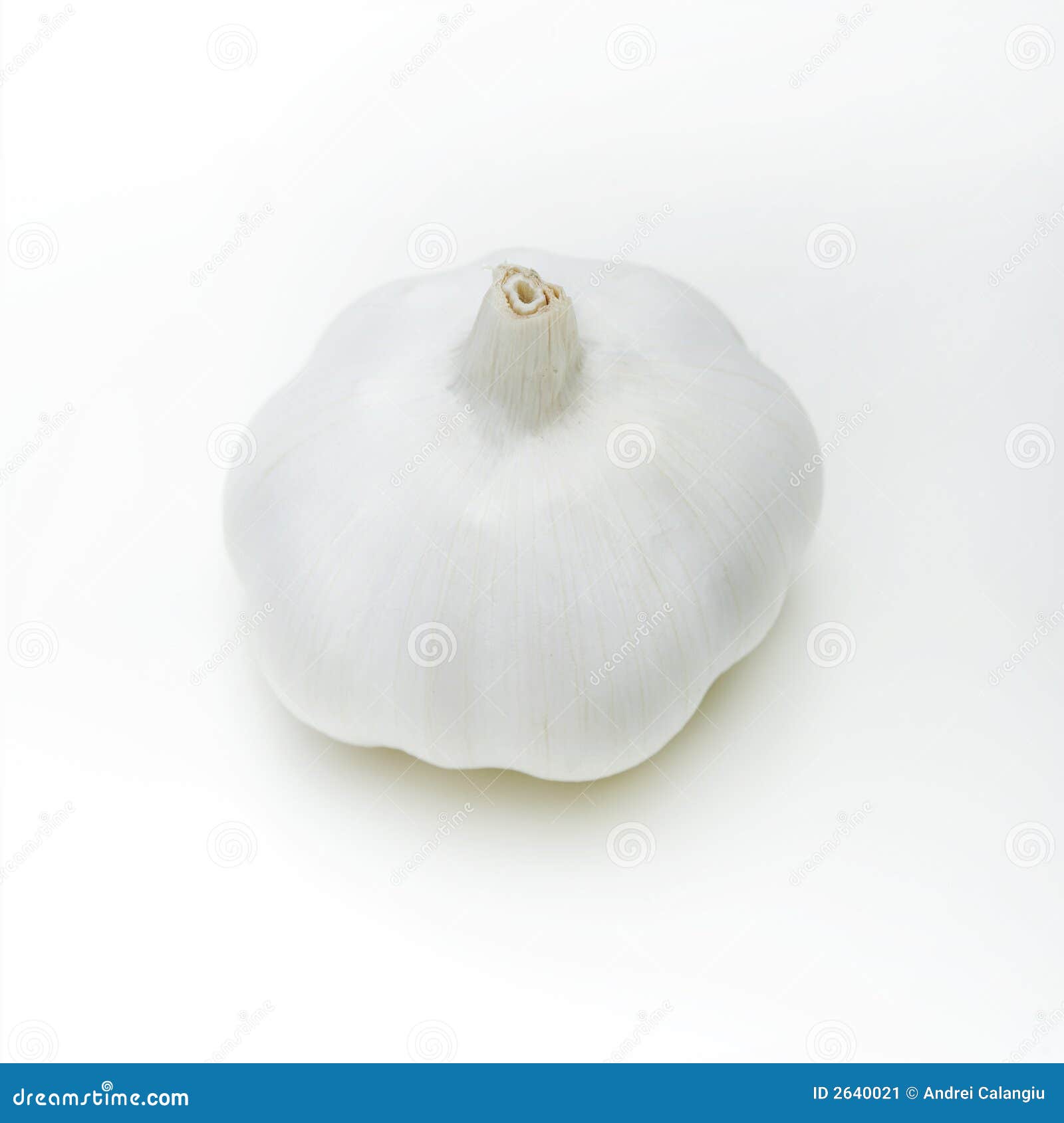 Clove of garlic stock image. Image of prepare, spice, isolated 2640021