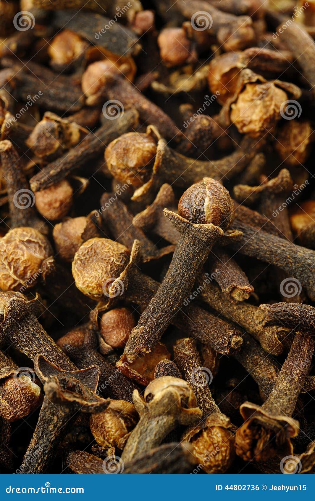 Clove spice stock photo. Image of aromatic, herbs, spices 44802736