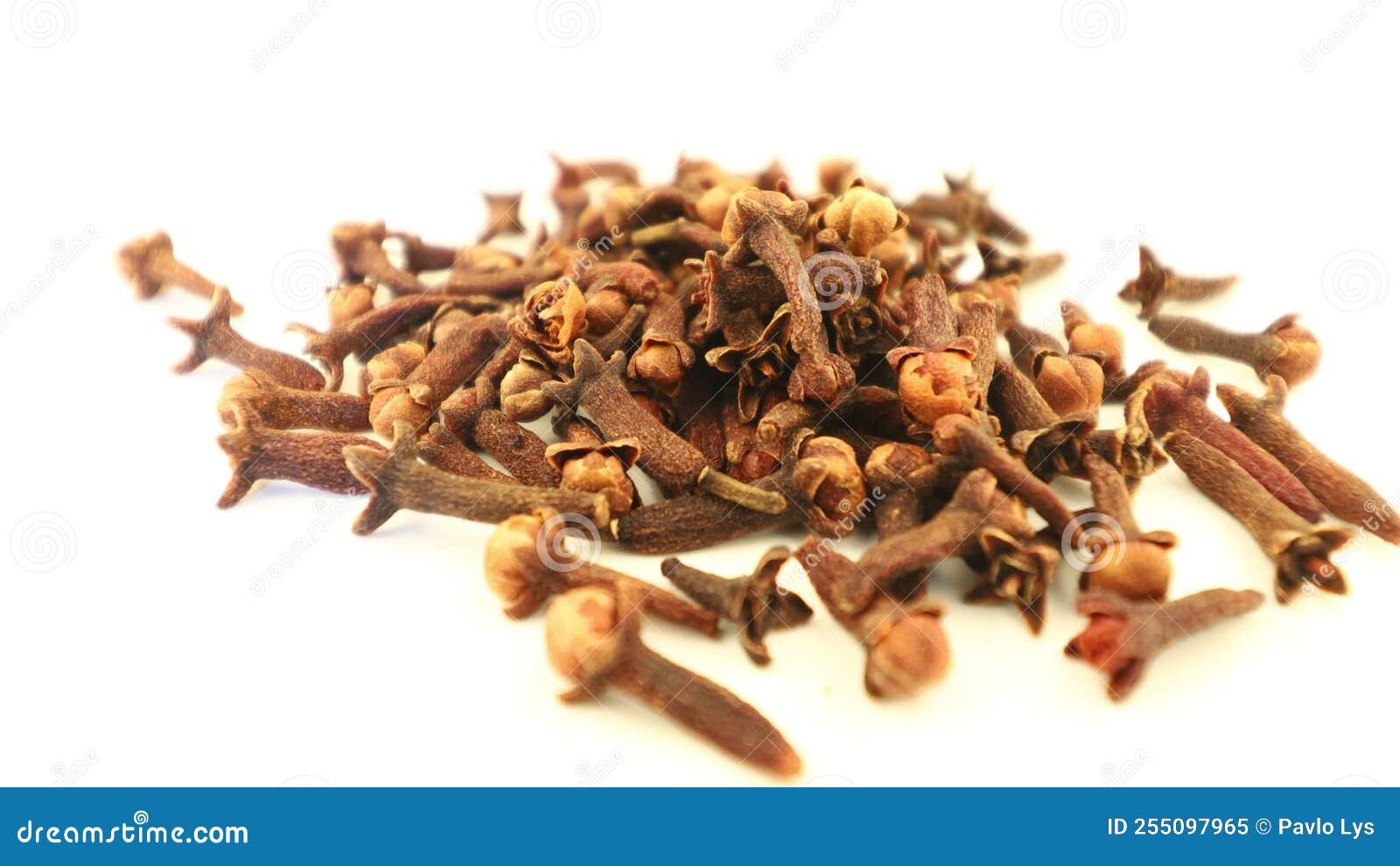 Clove Spice Pile on White Isolate Stock Video Video of macro, brown