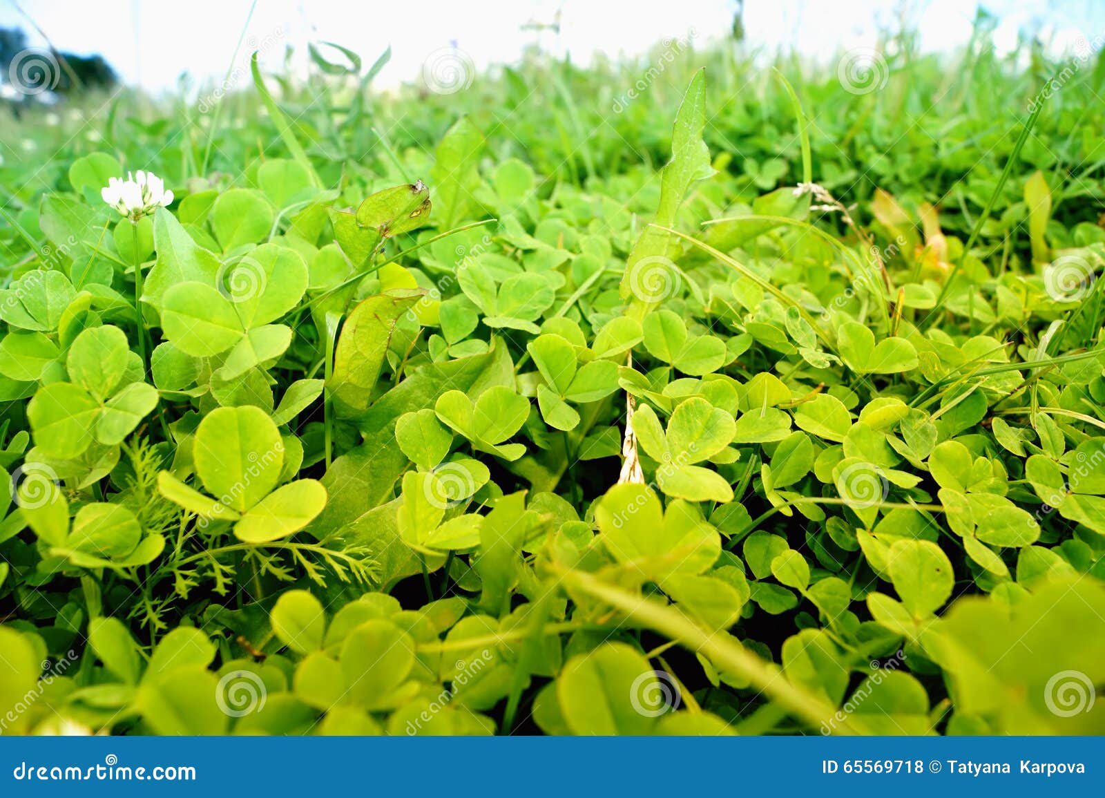 clover hackintosh download clover hackintosh download