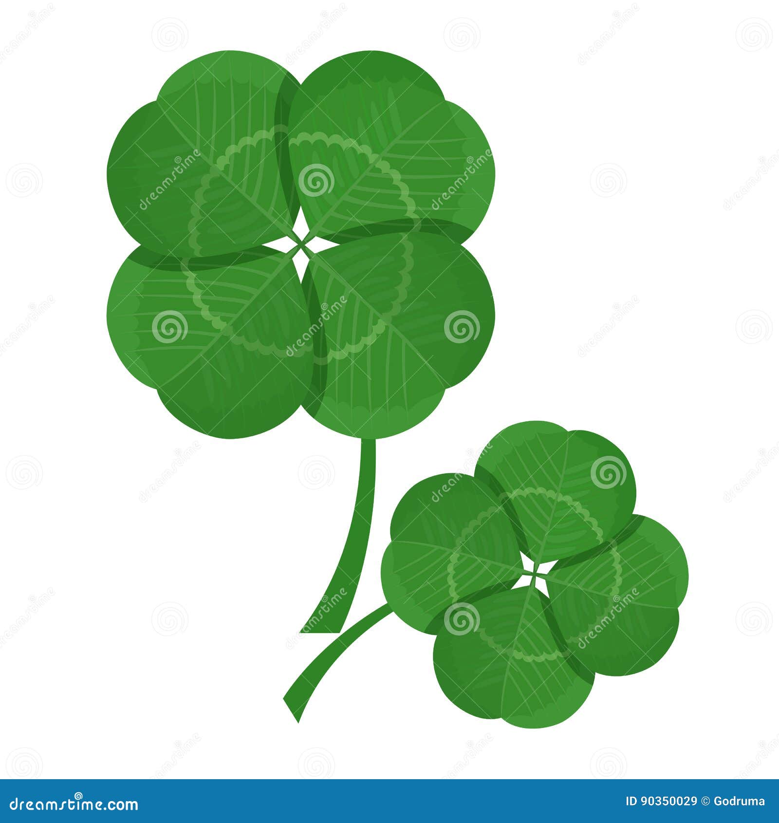 clover green leaves  on white background. trefoil foliage