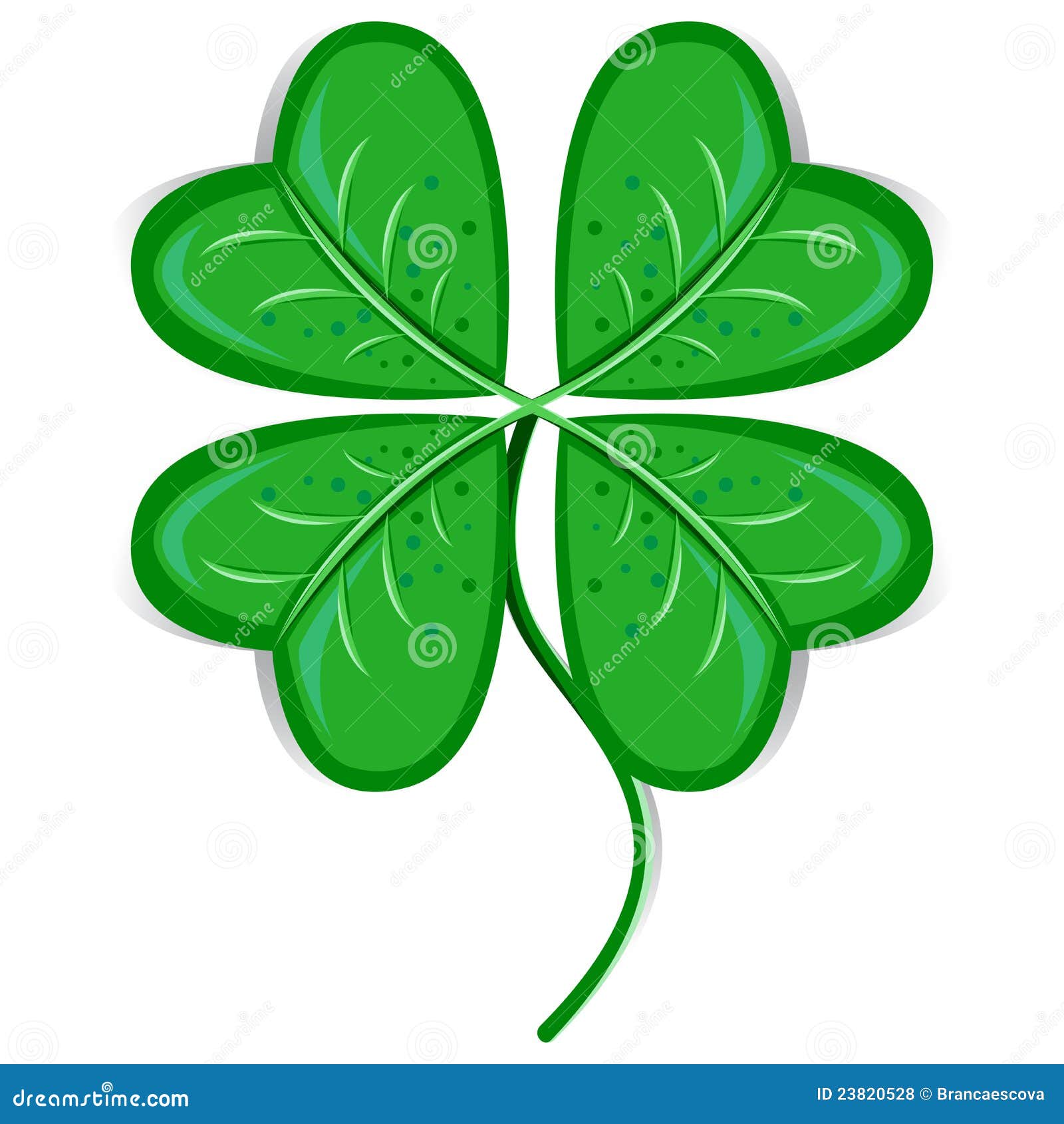 royalty free stock photos clover leaf image