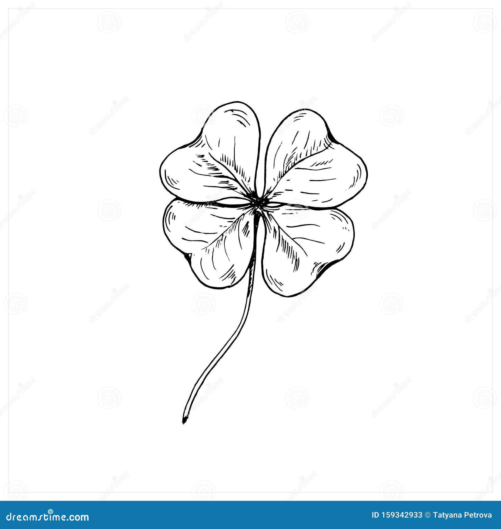 Clover Sketch Hand Drawn Four Leaf Clover Vector Illustration Isolated On White Stock Vector Illustration Of Fortune Drawing