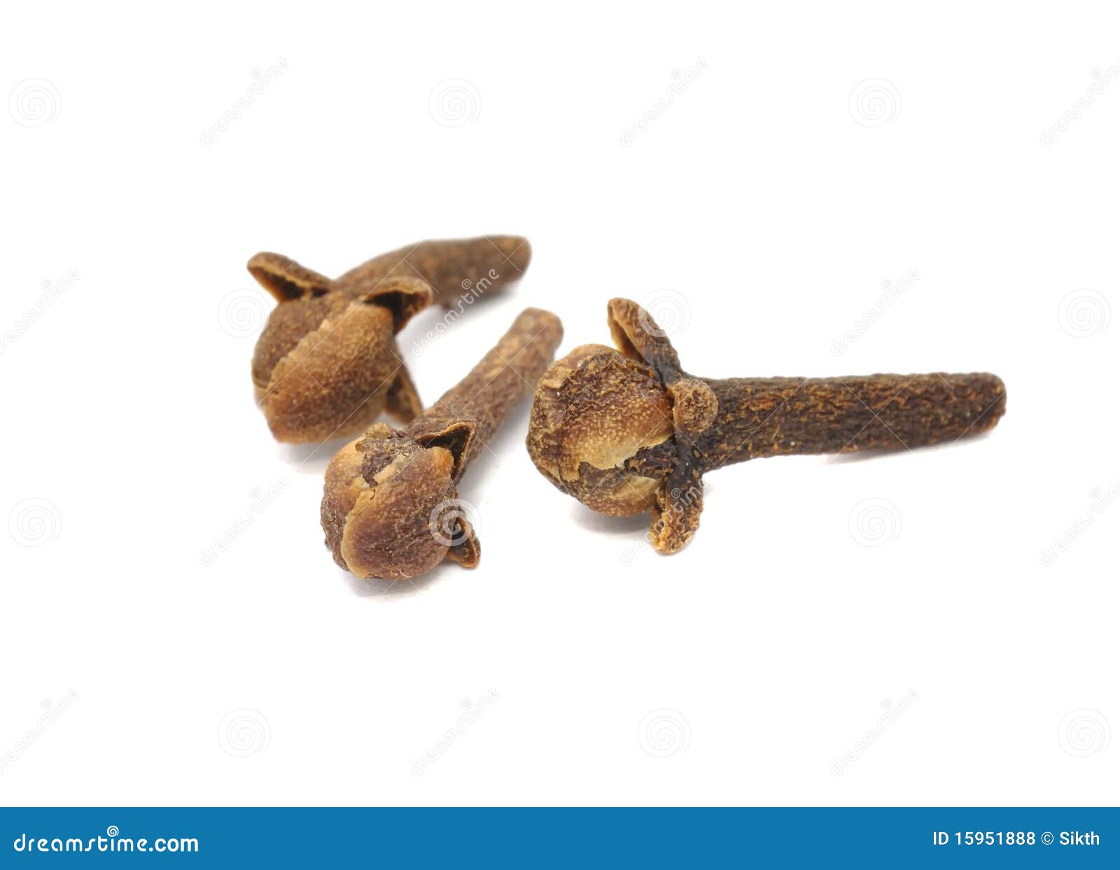 Cloves stock photo. Image of cook, food, gourmet, flavor 15951888