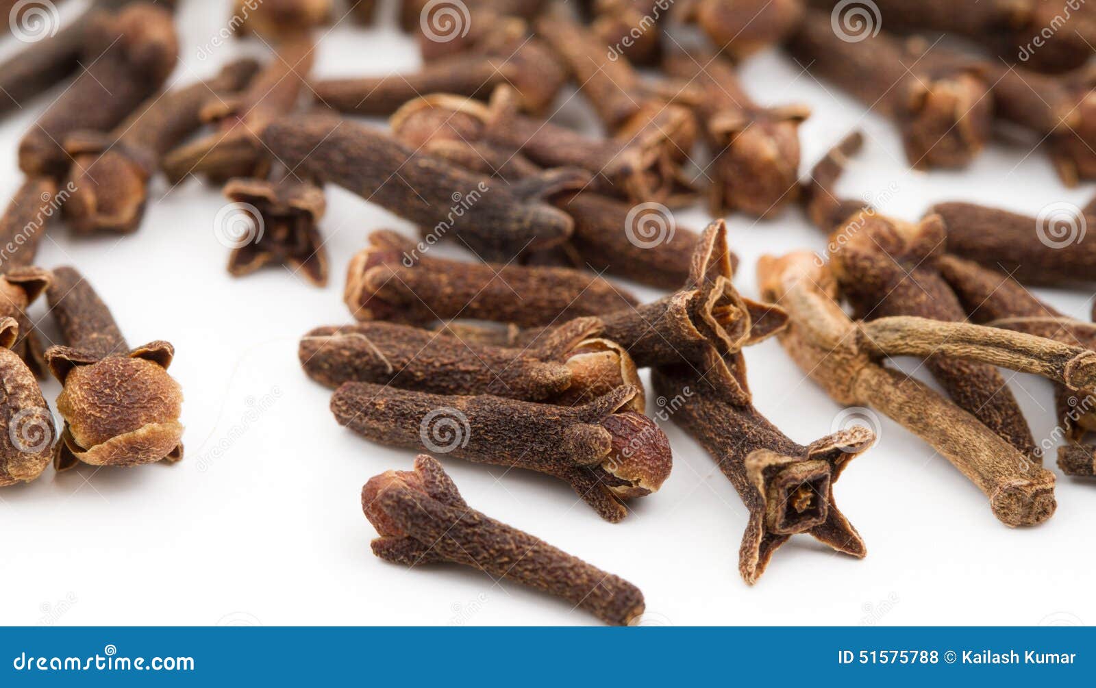 Cloves Spice stock photo. Image of brown, asian, ingredient 51575788