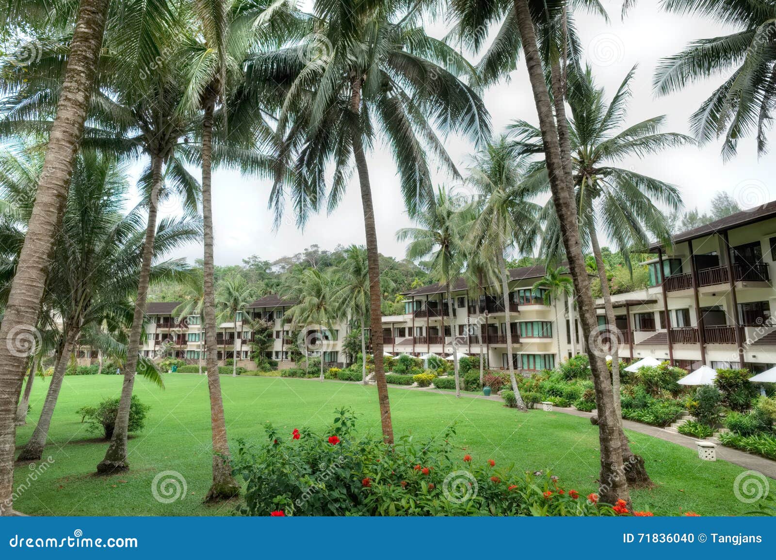 Club Med, Bintan, Indonesia Foto de archivo Imagen de planta, coco