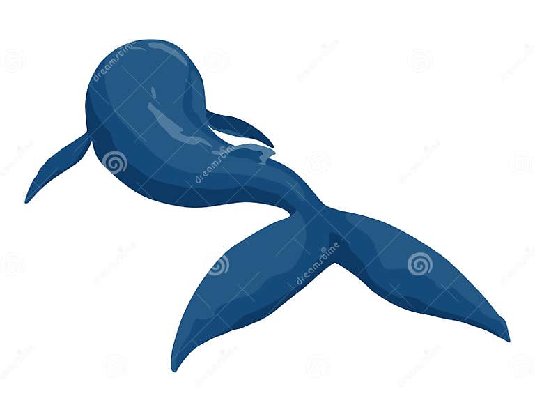 Clue Whale, Aquatic Mammal. Awesome Marine Animal. Cartoon Vector
