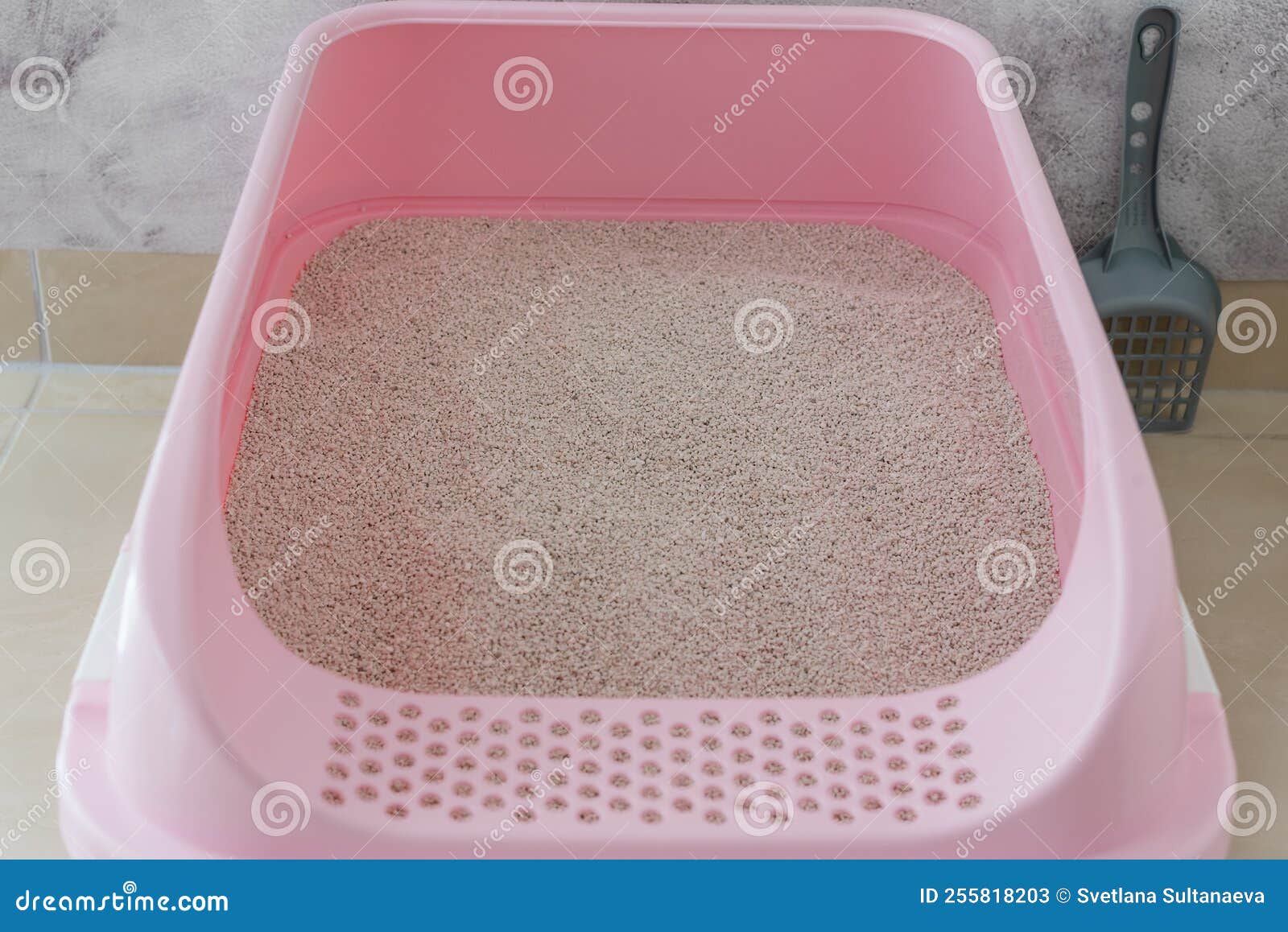 Clumping Cat Litter in the Cat Litter Box Stock Image Image of pellet