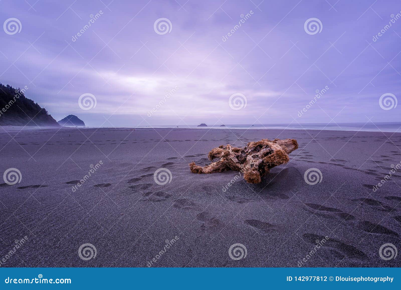 Escape to Oregon Driftwood: Your Coastal Camping Dream