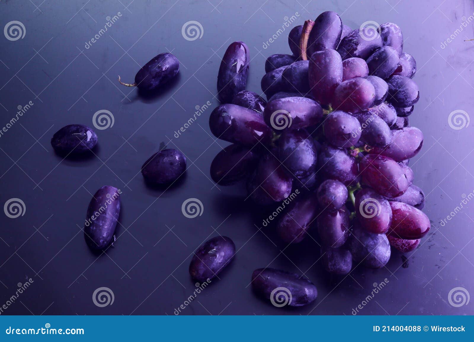 Cluster of Sauvignon Black Grapes with Berries Scattered on