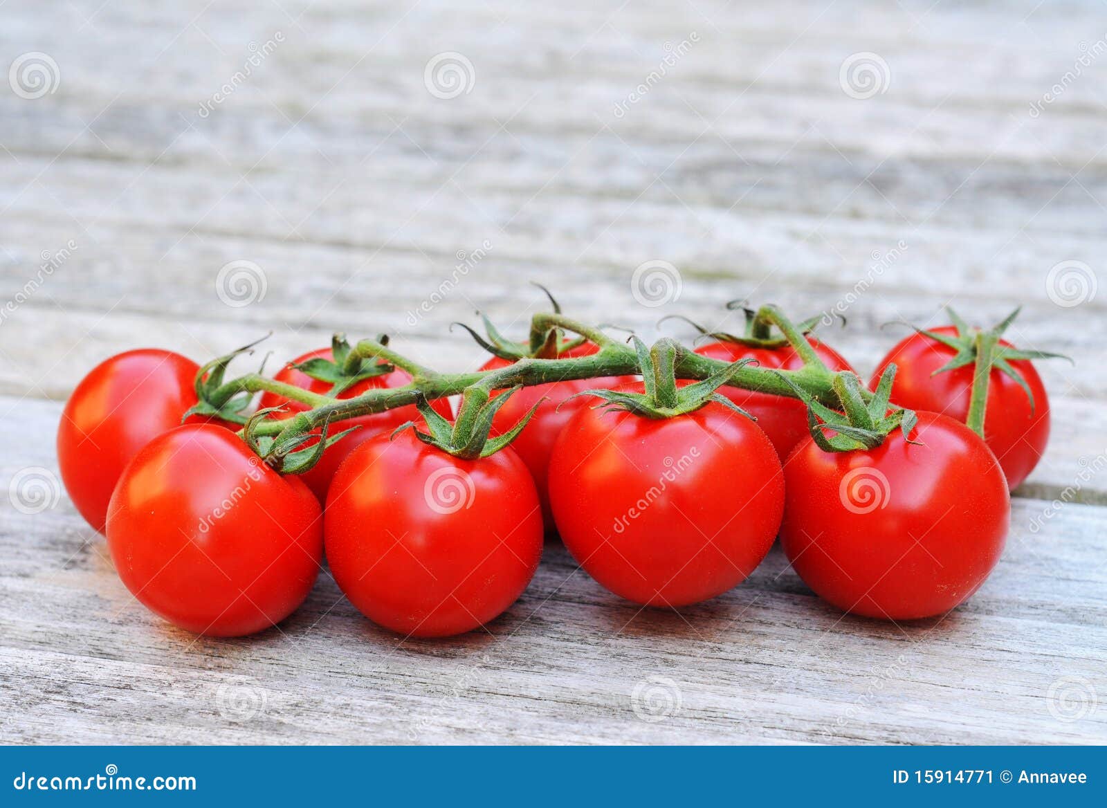 Cluster of Cocktail Tomatoes Stock Image Image of space, tomato 15914771