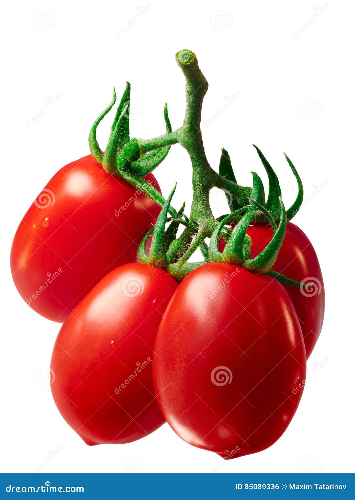 Cluster of Plum Roma Tomatoes, Path Stock Photo Image of roma, oblong