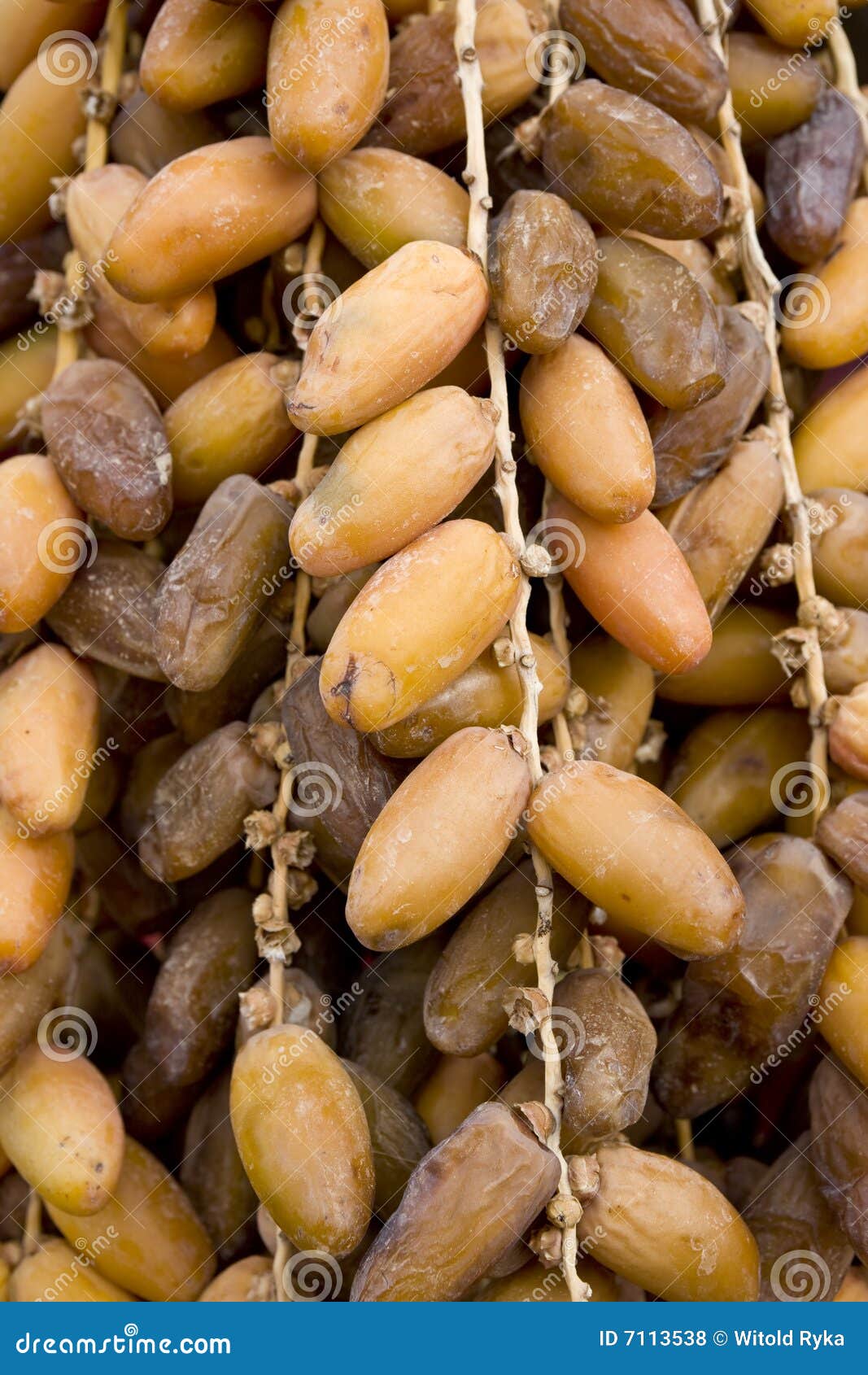 Clusters of dates stock photo. Image of eating, fruit 7113538