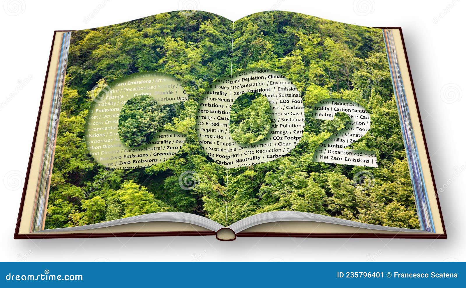 co2 net-zero emission - carbon neutrality concept against a forest with keywords - 3d render of an opened photo book  on