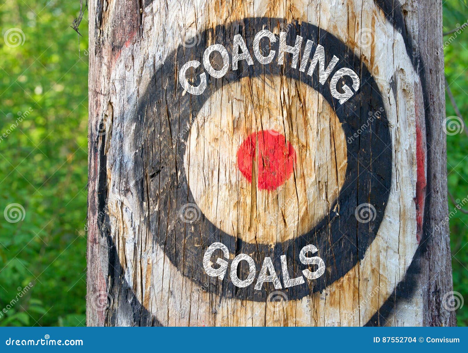 coaching goals - tree with target and text